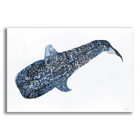 Epic Art 'Shark Whale 2' by Stellar Design Studio, Acrylic Glass Wall Art