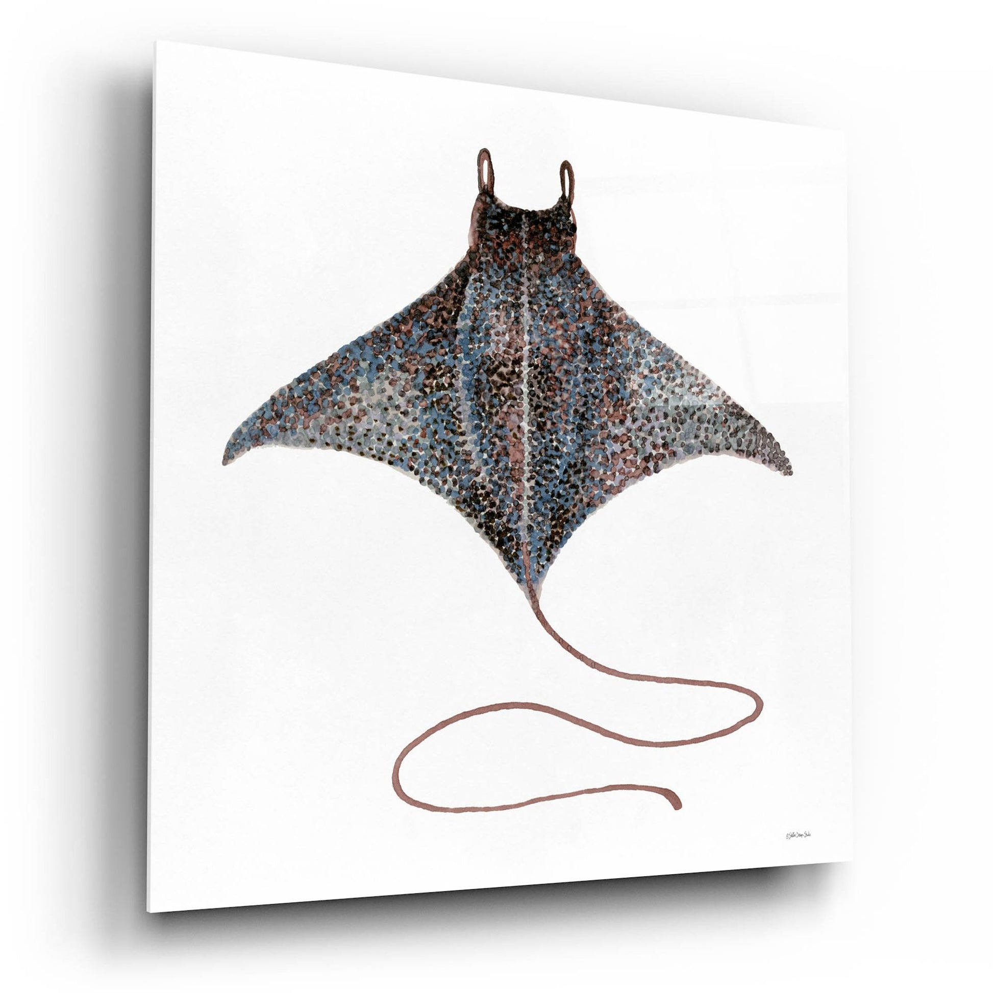 Epic Art 'Eagle Ray 2' by Stellar Design Studio, Acrylic Glass Wall Art,12x12