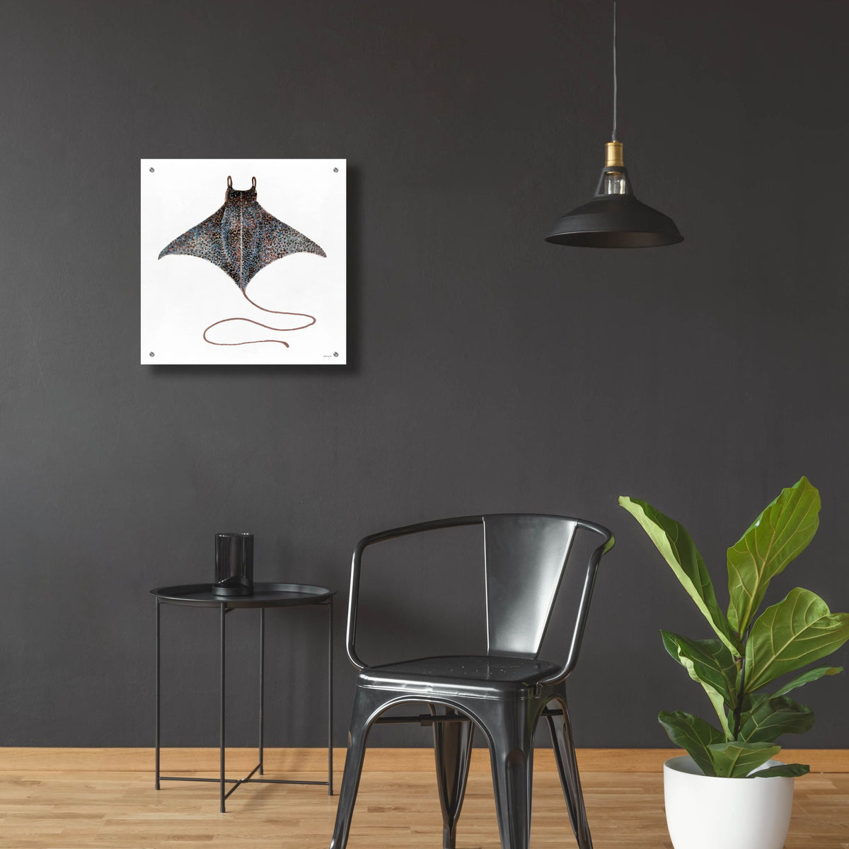 Epic Art 'Eagle Ray 2' by Stellar Design Studio, Acrylic Glass Wall Art,24x24