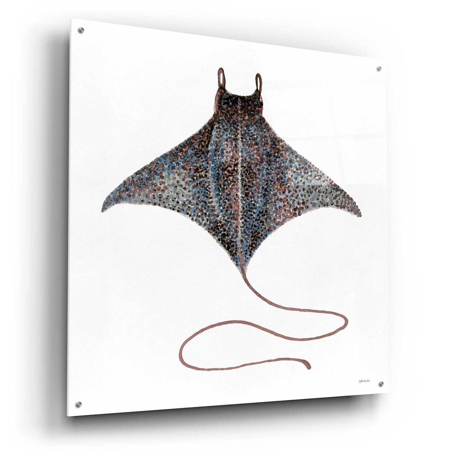 Epic Art 'Eagle Ray 2' by Stellar Design Studio, Acrylic Glass Wall Art,36x36