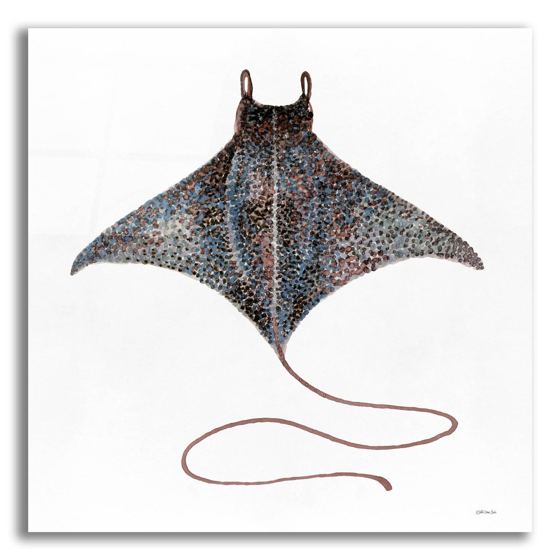 Epic Art 'Eagle Ray 2' by Stellar Design Studio, Acrylic Glass Wall Art