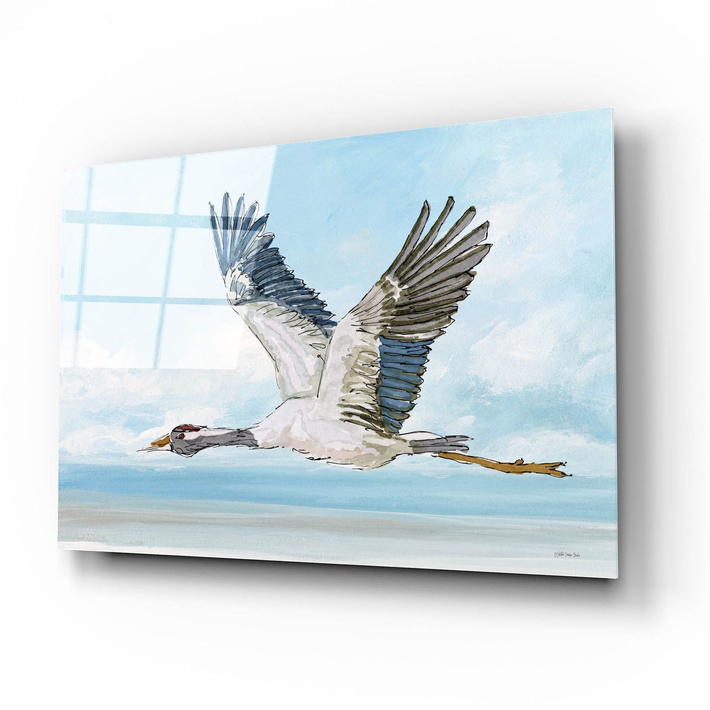 Epic Art 'In Flight 1' by Stellar Design Studio, Acrylic Glass Wall Art,16x12