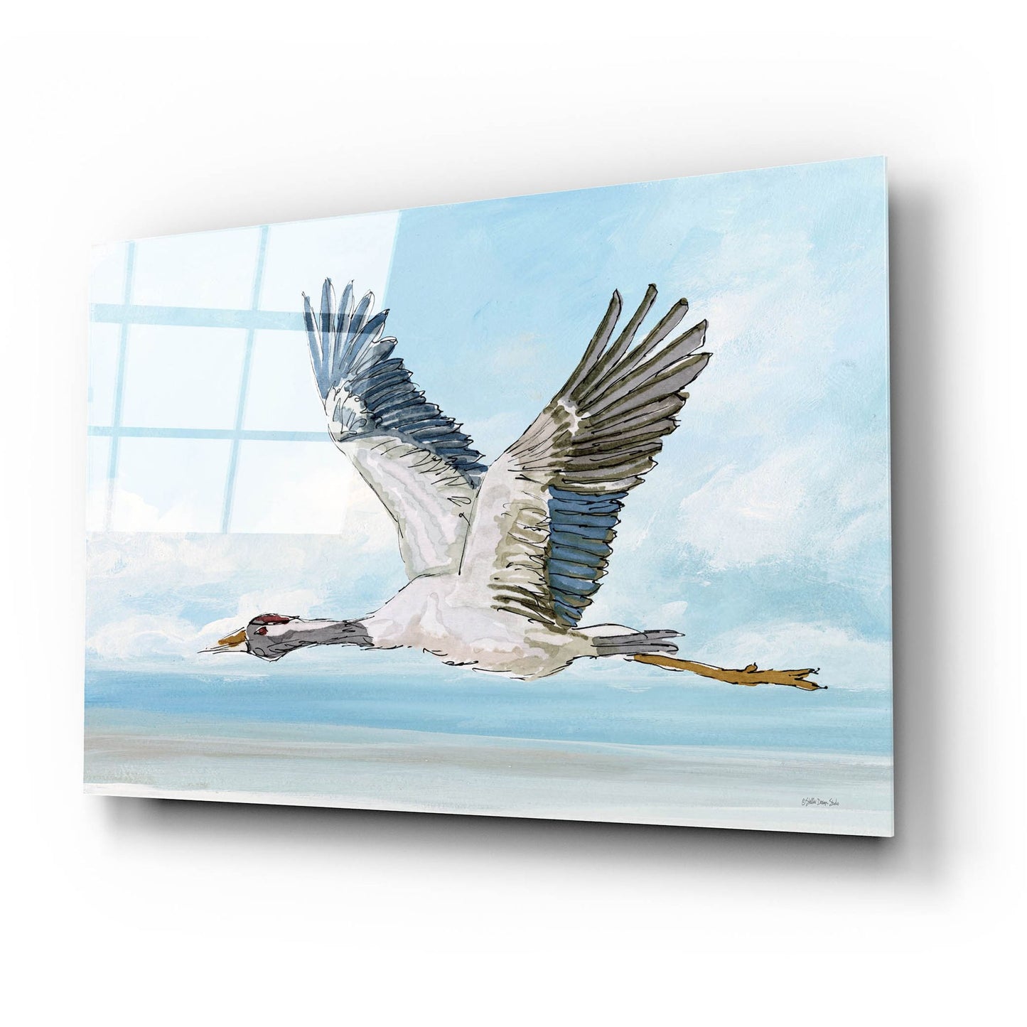 Epic Art 'In Flight 1' by Stellar Design Studio, Acrylic Glass Wall Art,24x16