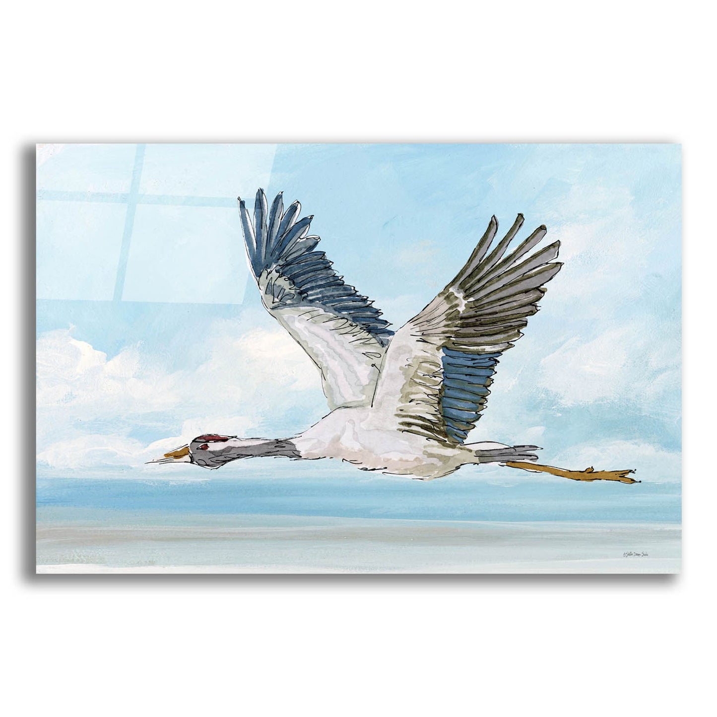 Epic Art 'In Flight 1' by Stellar Design Studio, Acrylic Glass Wall Art,24x16