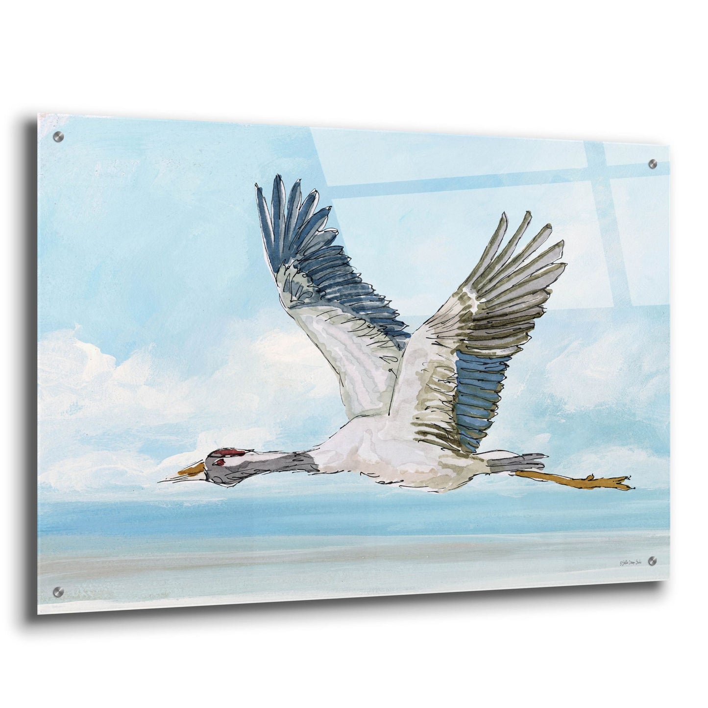 Epic Art 'In Flight 1' by Stellar Design Studio, Acrylic Glass Wall Art,36x24