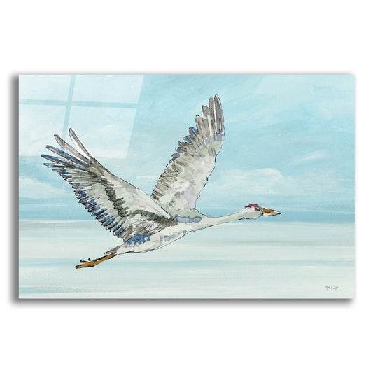 Epic Art 'In Flight 2' by Stellar Design Studio, Acrylic Glass Wall Art