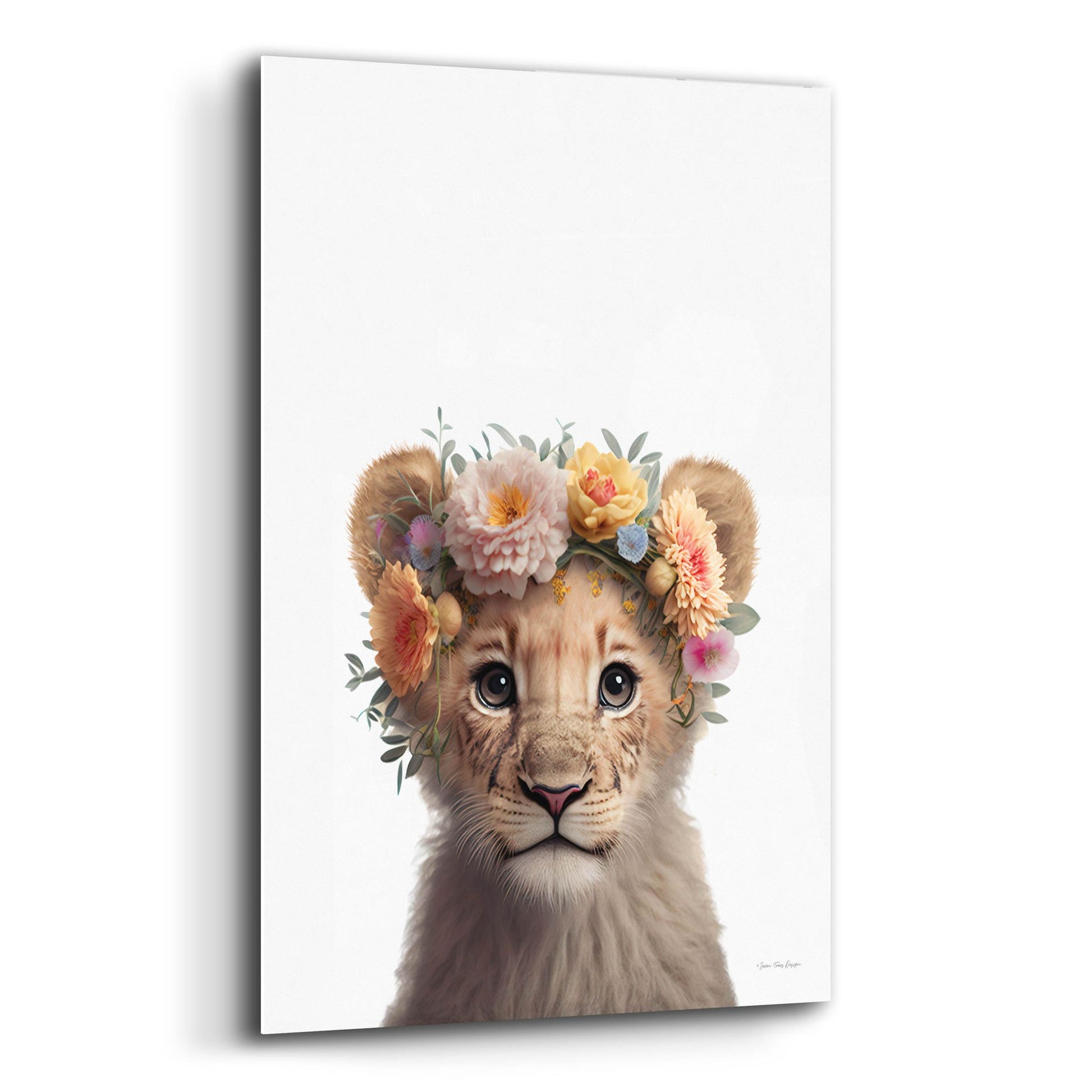 Epic Art 'Baby Lion' by Seven Trees Designs, Acrylic Glass Wall Art,12x16