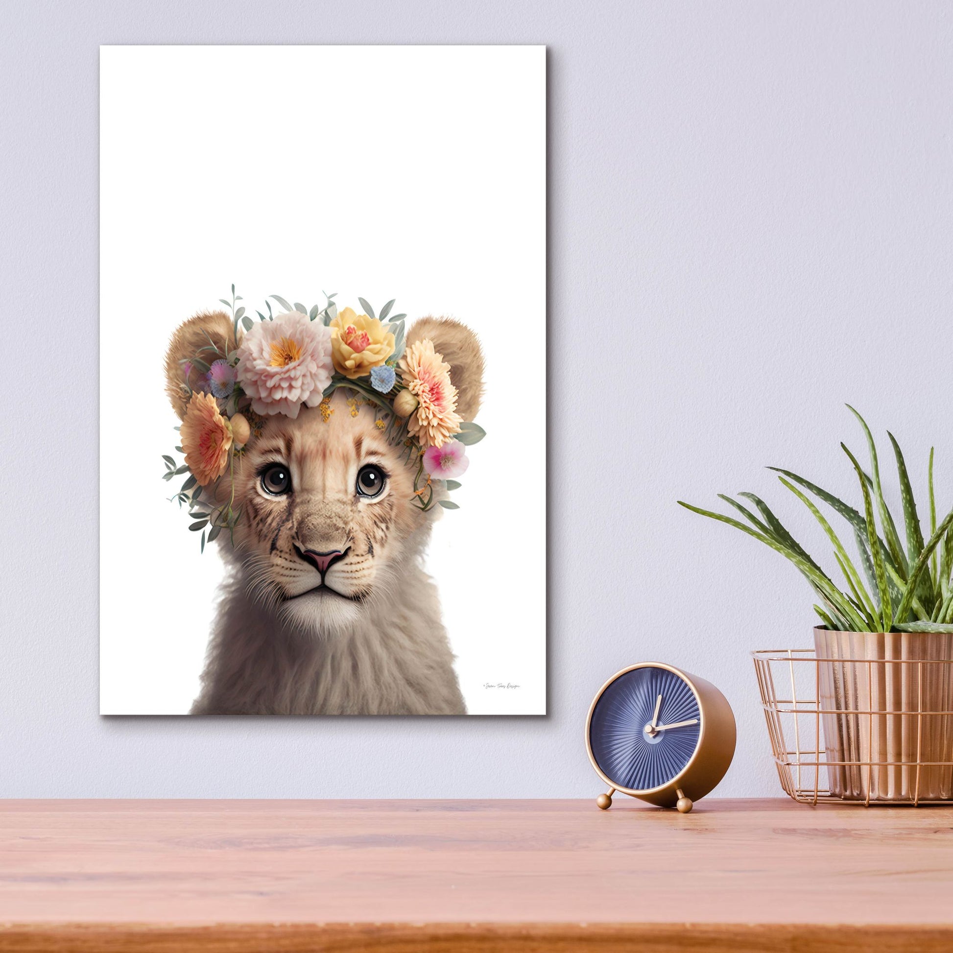 Epic Art 'Baby Lion' by Seven Trees Designs, Acrylic Glass Wall Art,12x16