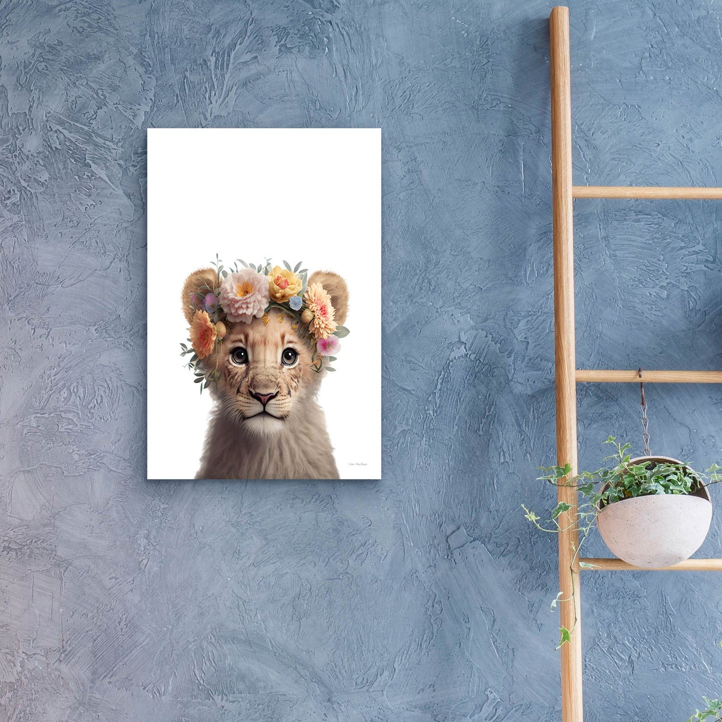 Epic Art 'Baby Lion' by Seven Trees Designs, Acrylic Glass Wall Art,16x24