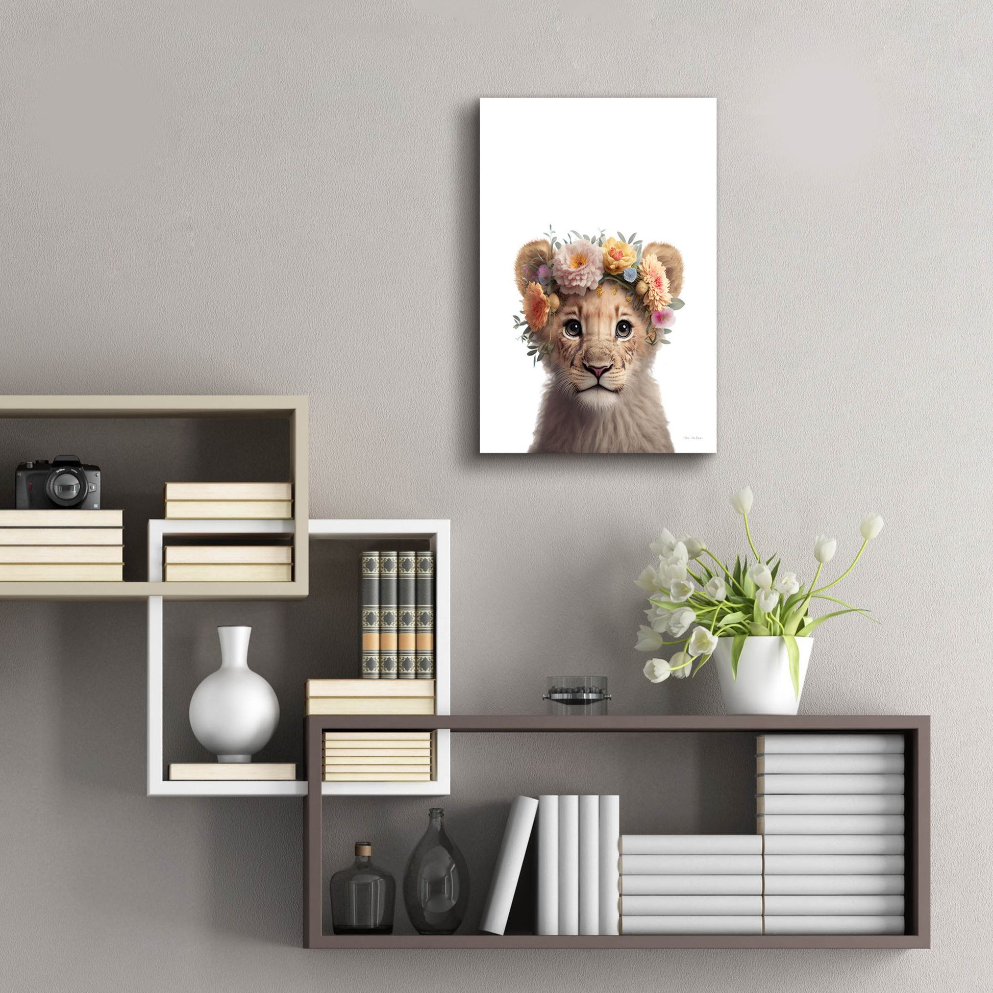 Epic Art 'Baby Lion' by Seven Trees Designs, Acrylic Glass Wall Art,16x24