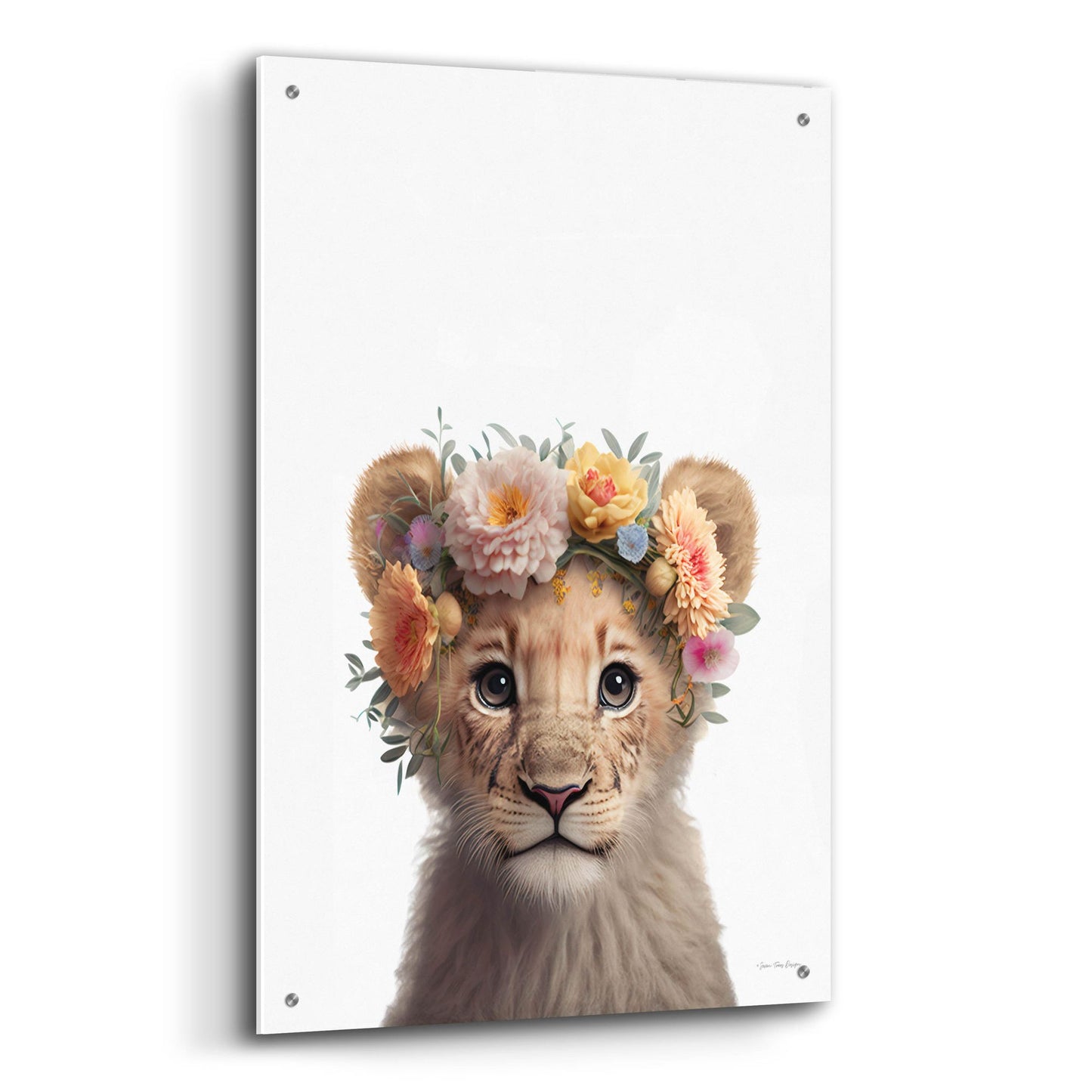 Epic Art 'Baby Lion' by Seven Trees Designs, Acrylic Glass Wall Art,24x36