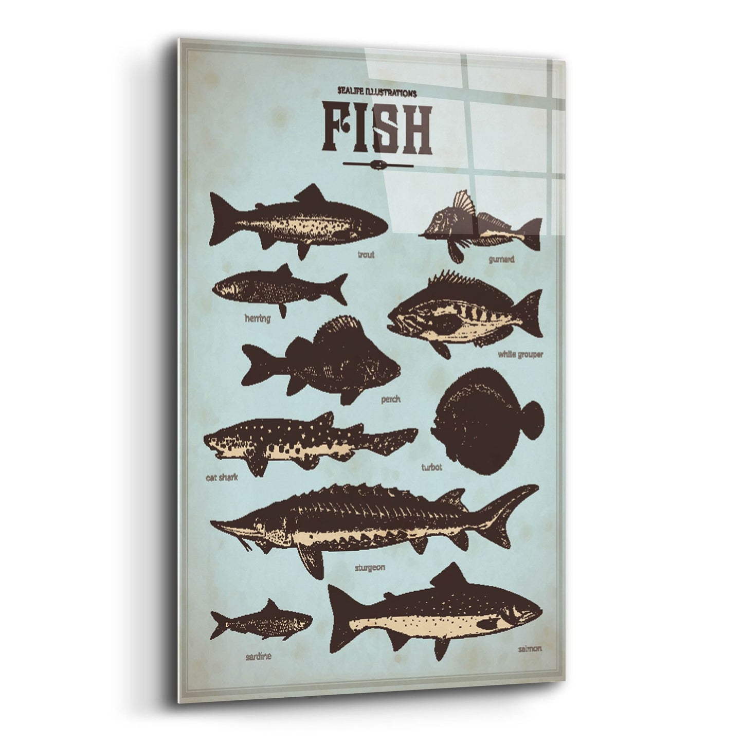 Epic Art 'Vintage Fish Poster' by Epic Portfolio, Acrylic Glass Wall Art,12x16