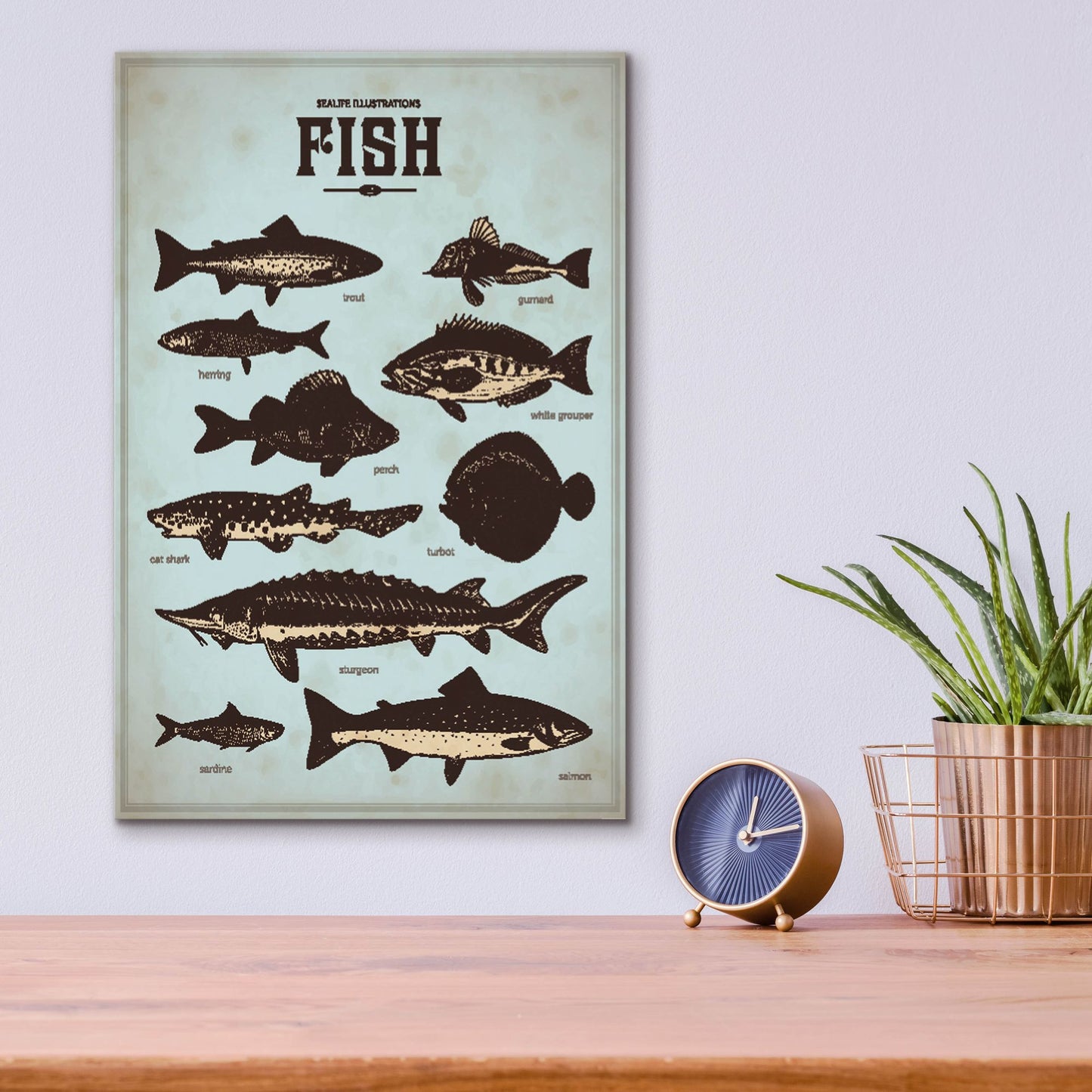 Epic Art 'Vintage Fish Poster' by Epic Portfolio, Acrylic Glass Wall Art,12x16