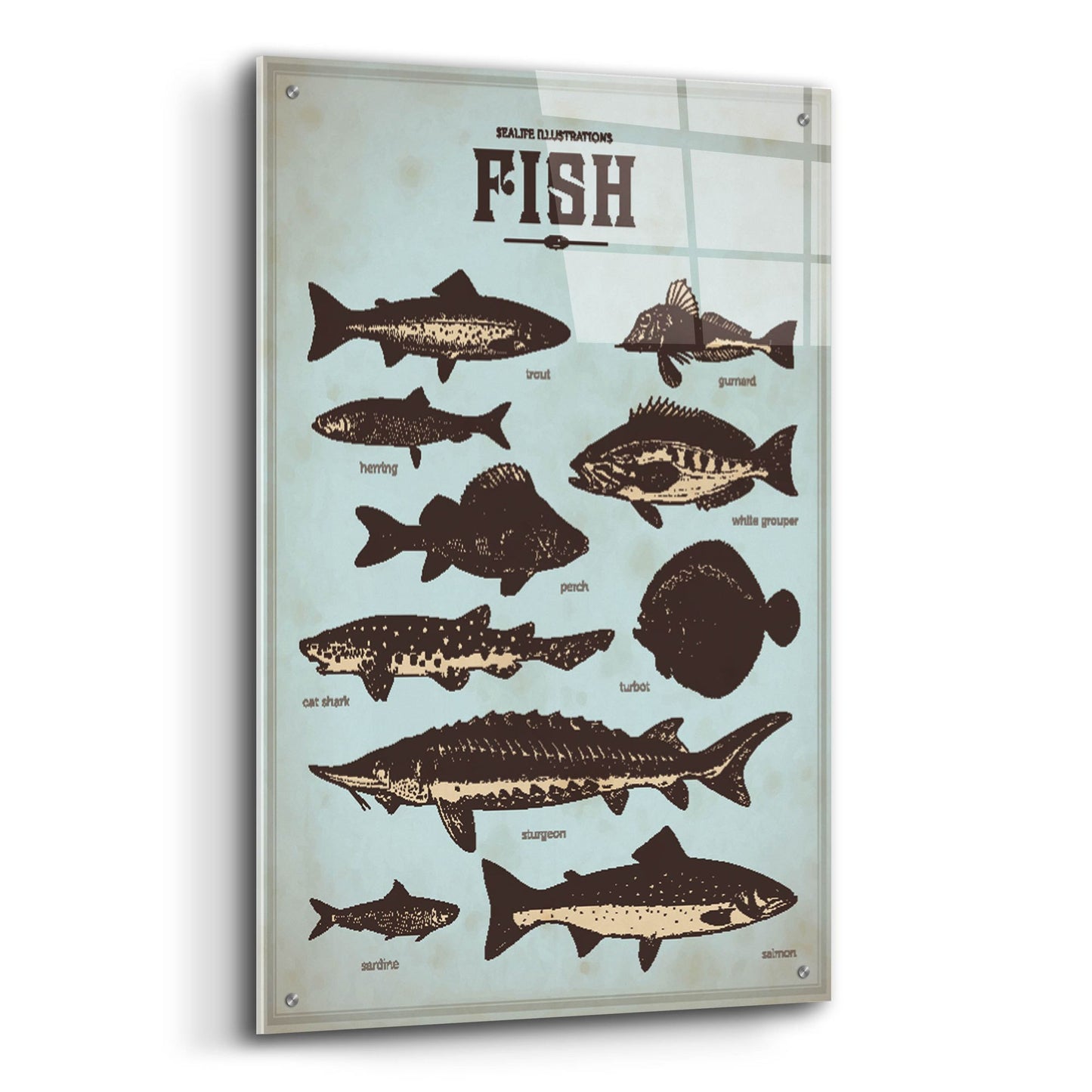 Epic Art 'Vintage Fish Poster' by Epic Portfolio, Acrylic Glass Wall Art,24x36