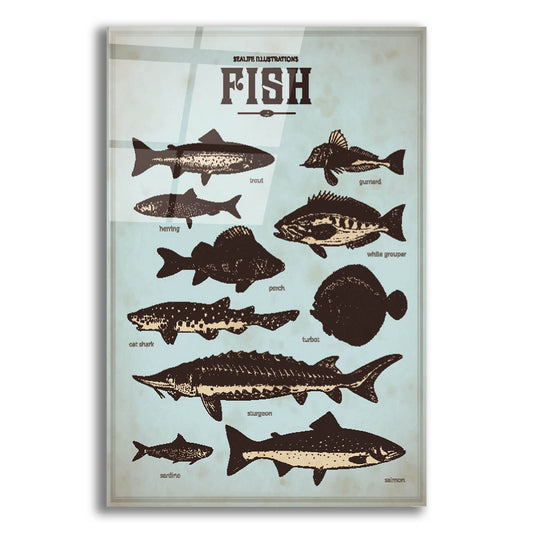 Epic Art 'Vintage Fish Poster' by Epic Portfolio, Acrylic Glass Wall Art