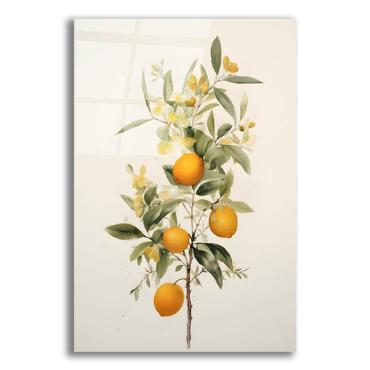 Epic Art 'Botanical Fruit 3' by Petals Prints Design, Acrylic Glass Wall Art