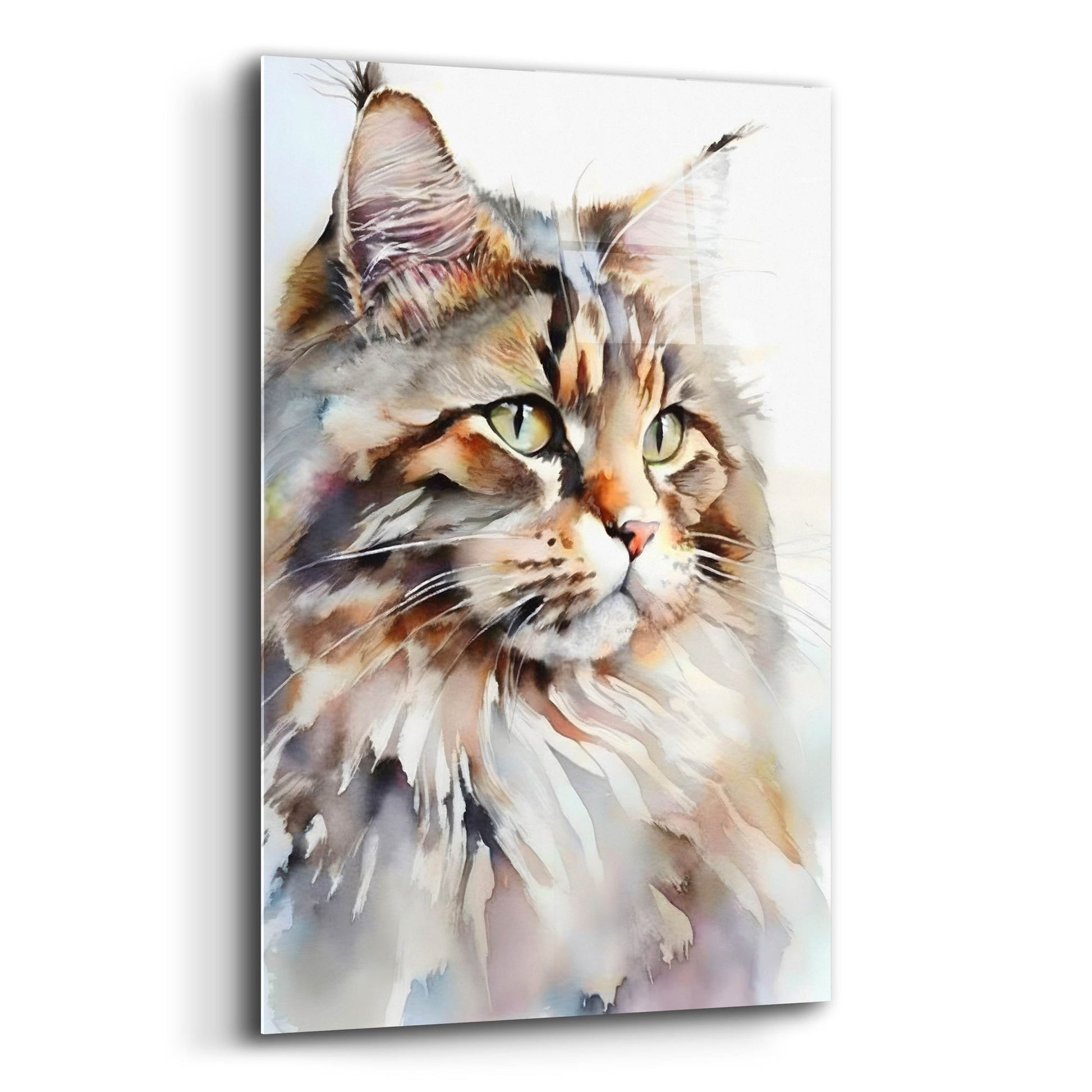 Epic Art 'Maine Coon Cat' by Petals Prints Design, Acrylic Glass Wall Art,12x16