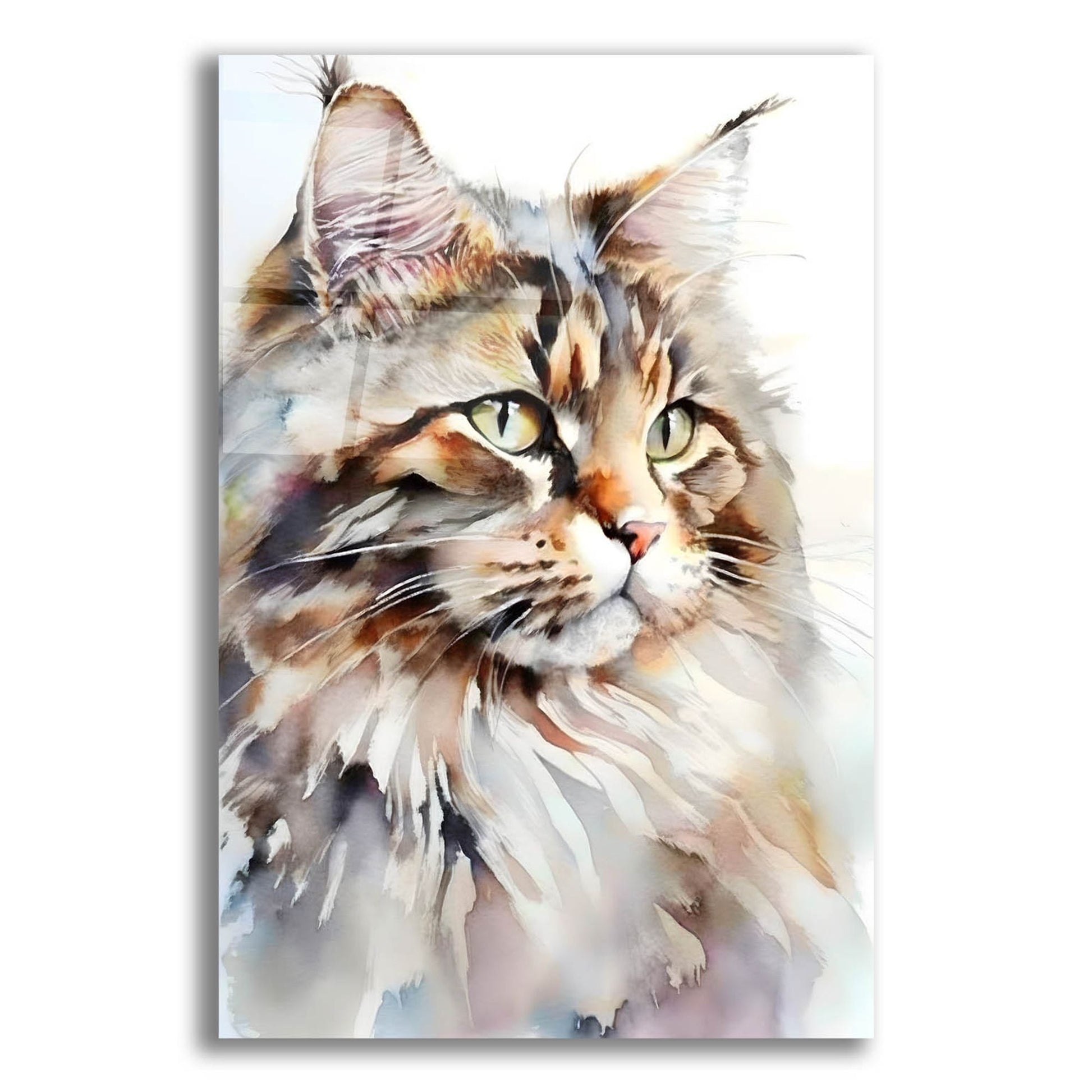 Epic Art 'Maine Coon Cat' by Petals Prints Design, Acrylic Glass Wall Art