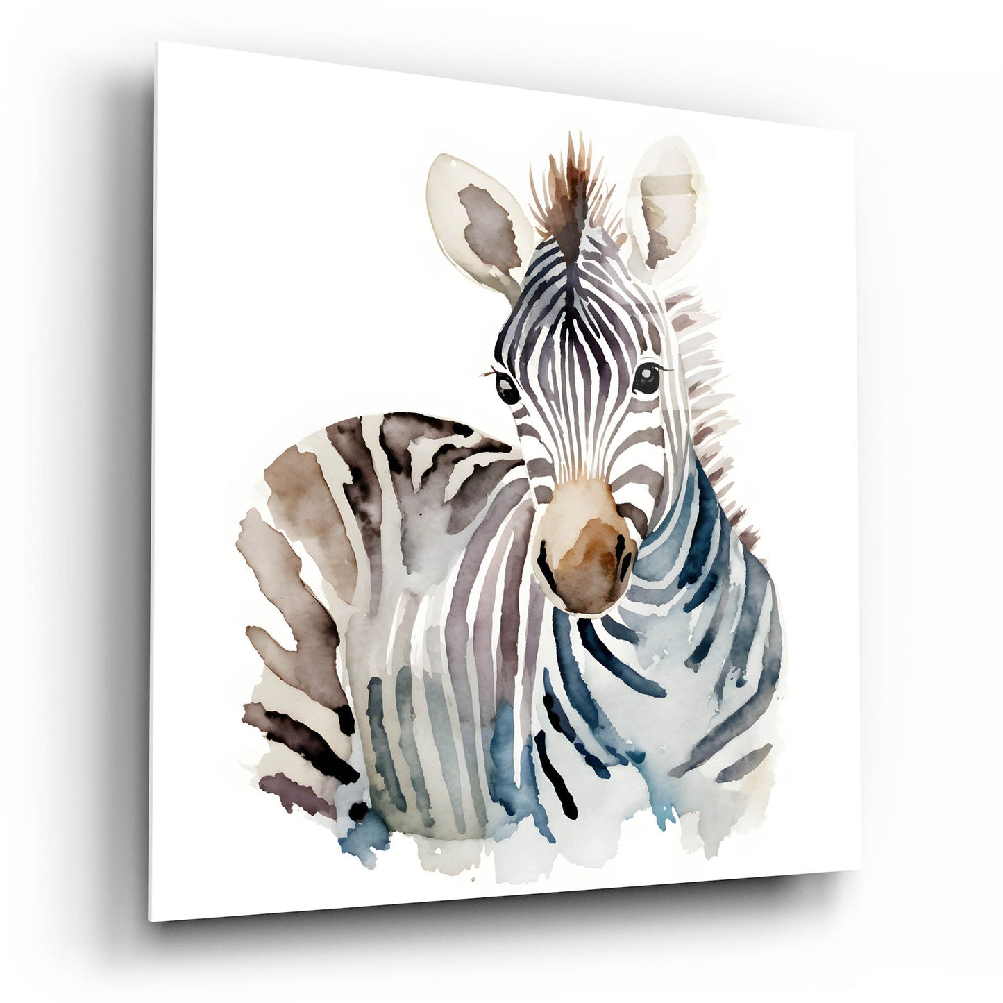 Epic Art 'Baby Zebra' by Petals Prints Design, Acrylic Glass Wall Art,12x12