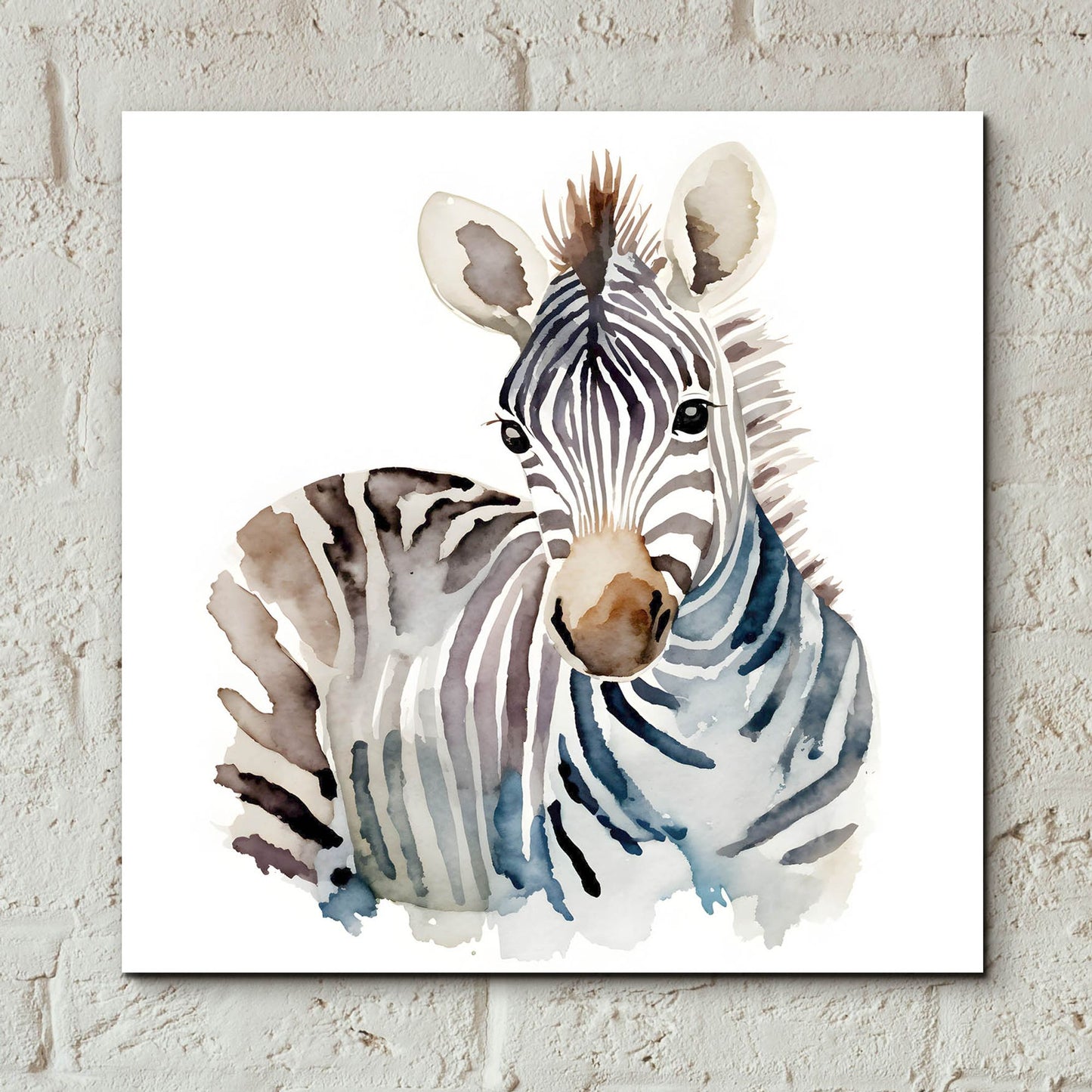 Epic Art 'Baby Zebra' by Petals Prints Design, Acrylic Glass Wall Art,12x12