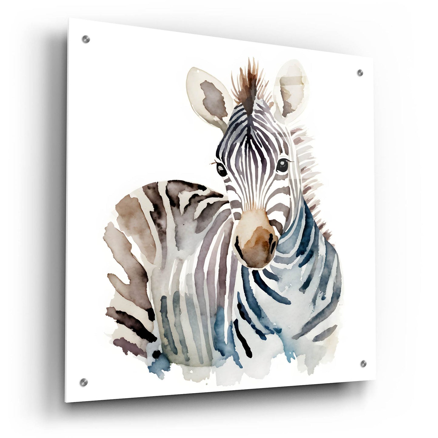 Epic Art 'Baby Zebra' by Petals Prints Design, Acrylic Glass Wall Art,24x24