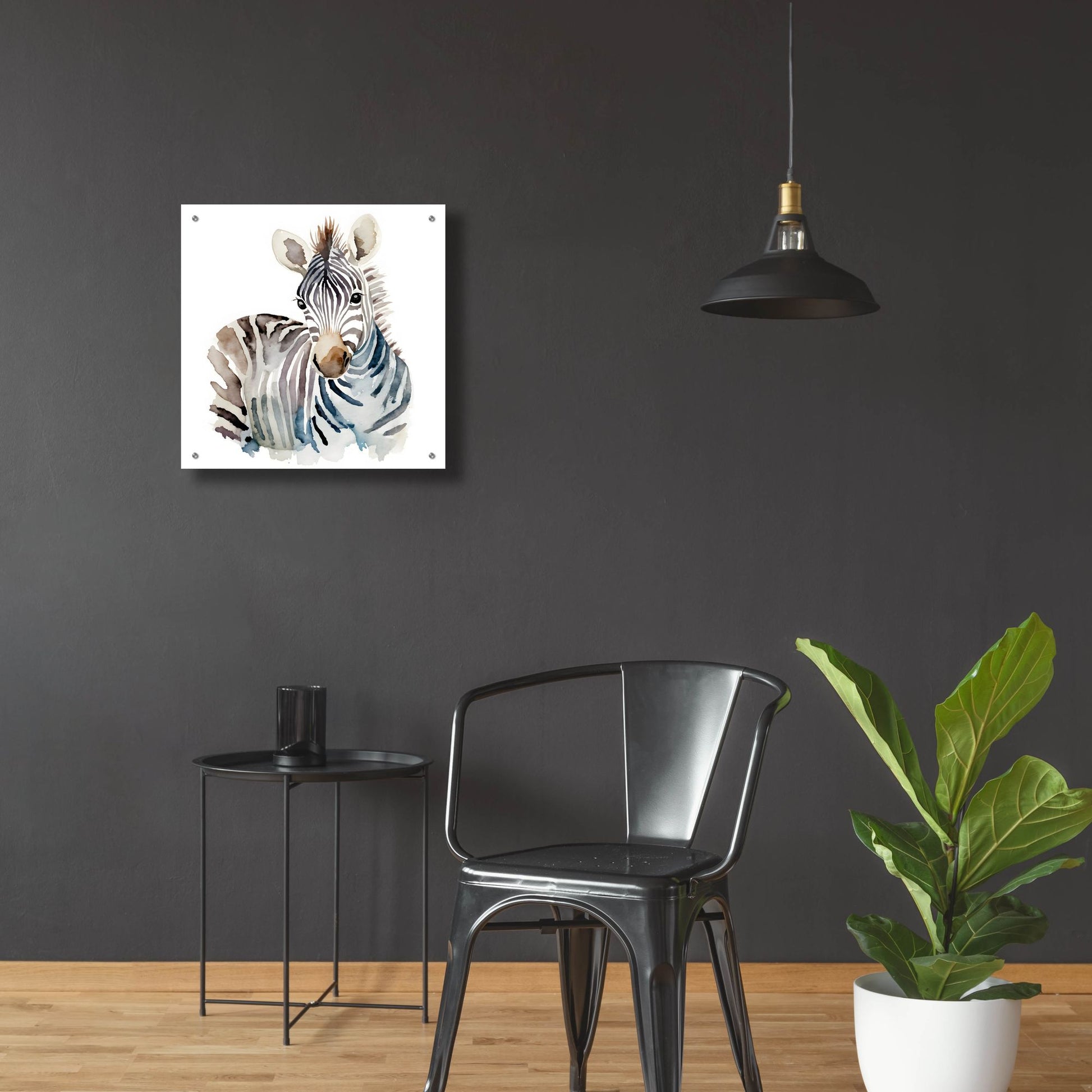 Epic Art 'Baby Zebra' by Petals Prints Design, Acrylic Glass Wall Art,24x24