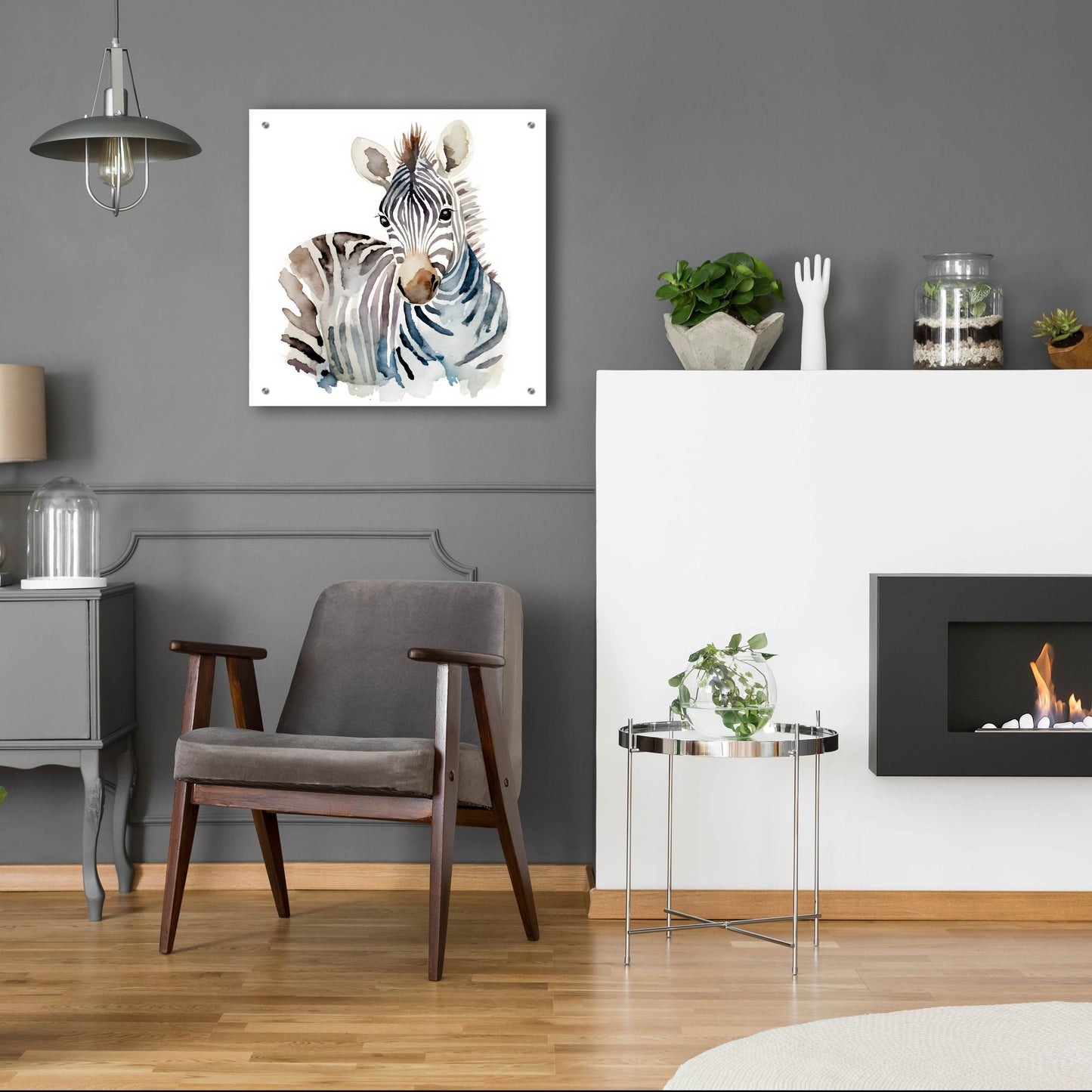 Epic Art 'Baby Zebra' by Petals Prints Design, Acrylic Glass Wall Art,24x24