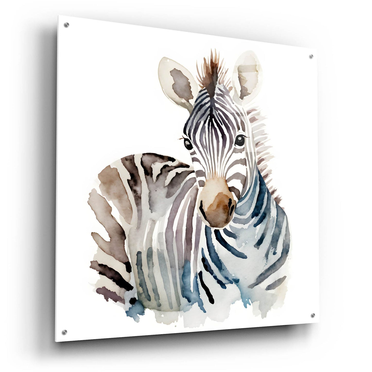 Epic Art 'Baby Zebra' by Petals Prints Design, Acrylic Glass Wall Art,36x36