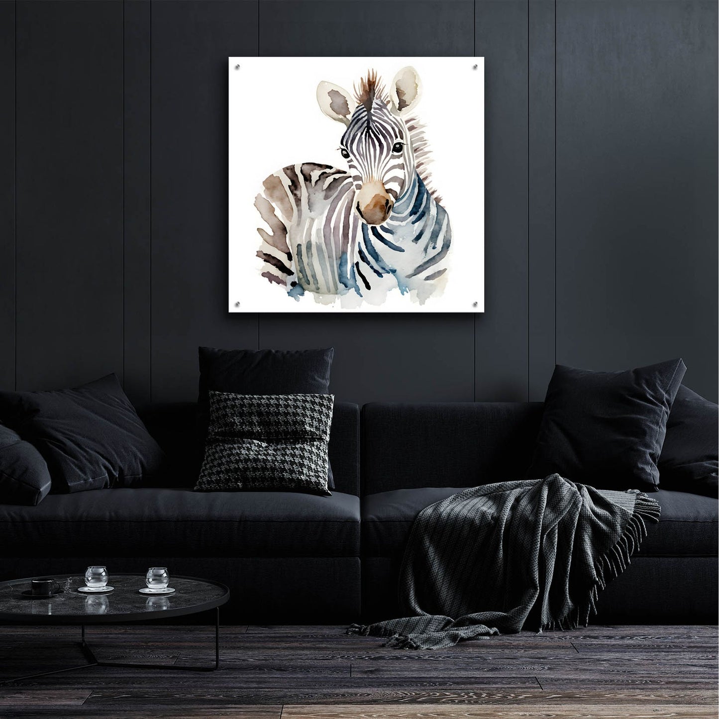 Epic Art 'Baby Zebra' by Petals Prints Design, Acrylic Glass Wall Art,36x36