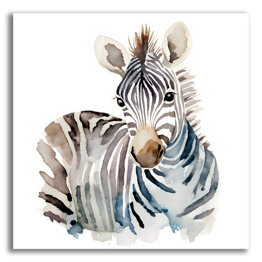 Epic Art 'Baby Zebra' by Petals Prints Design, Acrylic Glass Wall Art