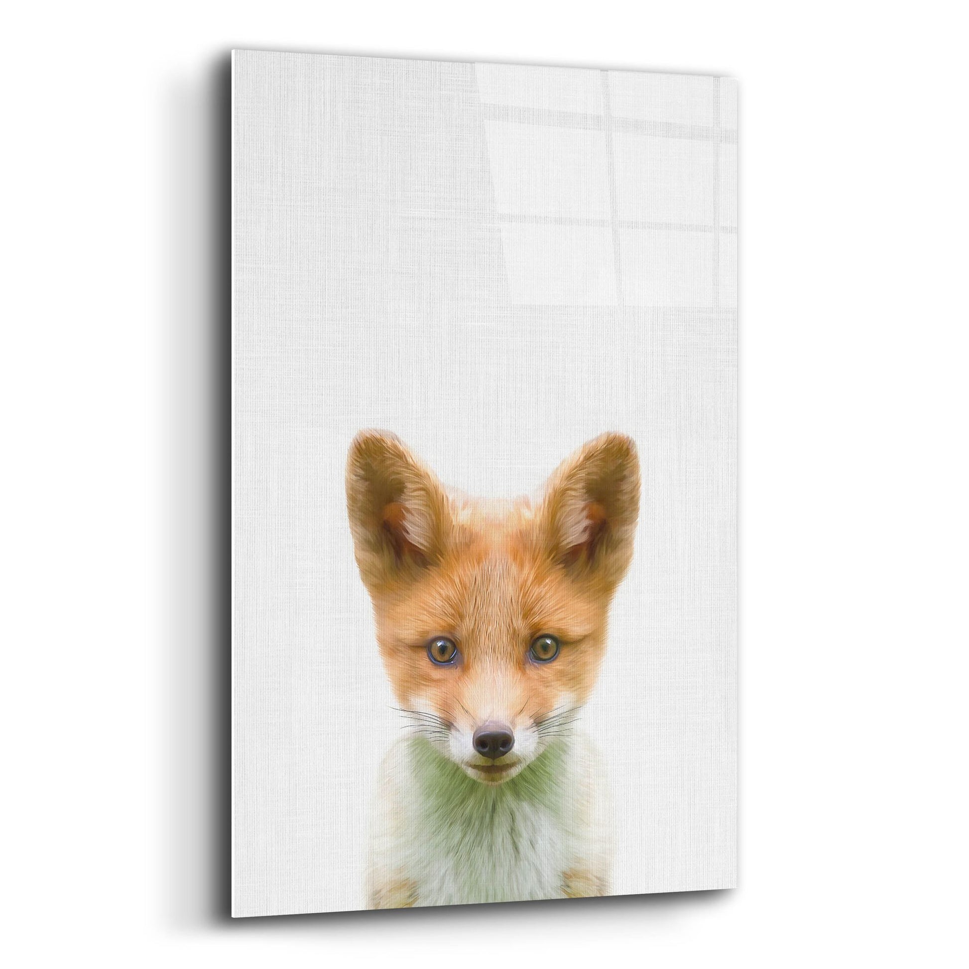 Epic Art 'Baby Fox' by Tai Prints, Acrylic Glass Wall Art,12x16