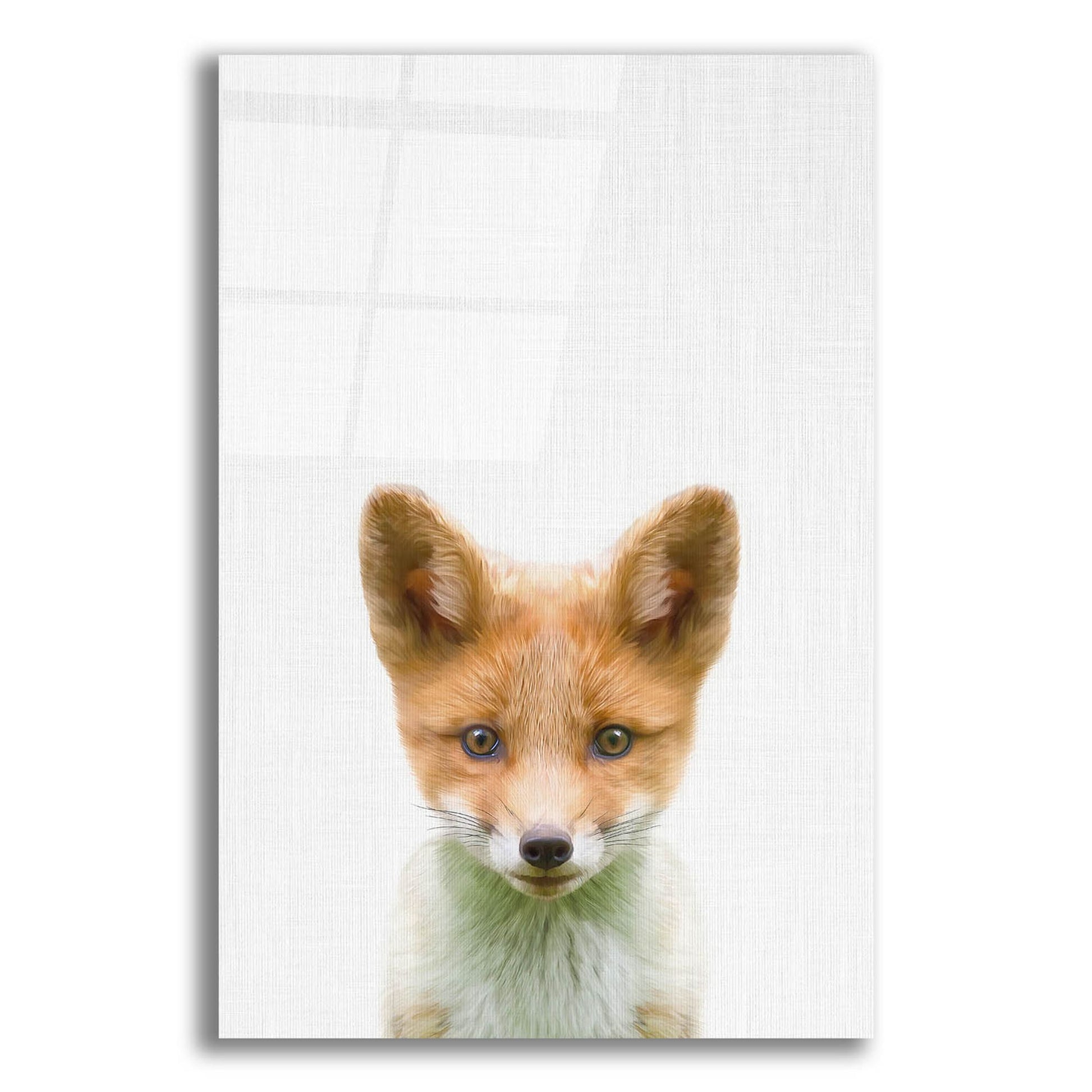 Epic Art 'Baby Fox' by Tai Prints, Acrylic Glass Wall Art