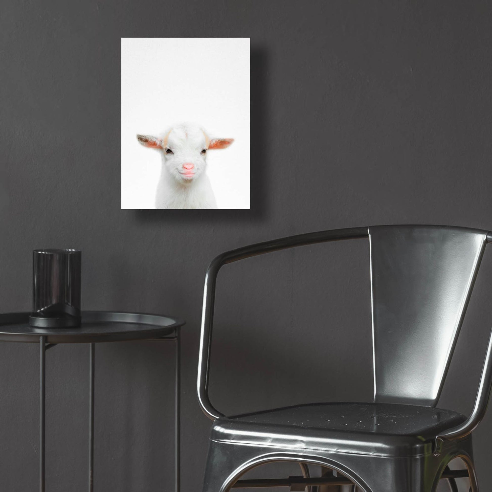 Epic Art 'Baby Goat' by Tai Prints, Acrylic Glass Wall Art,12x16