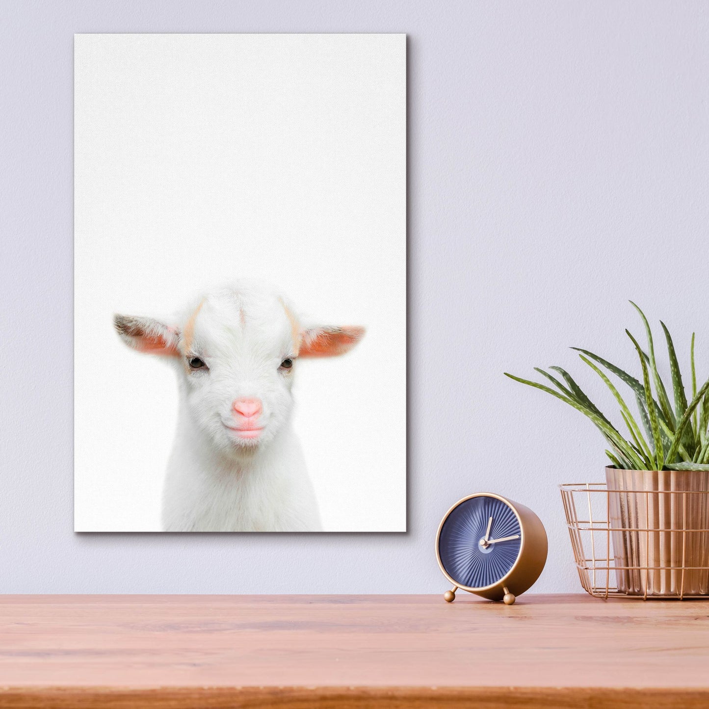 Epic Art 'Baby Goat' by Tai Prints, Acrylic Glass Wall Art,12x16