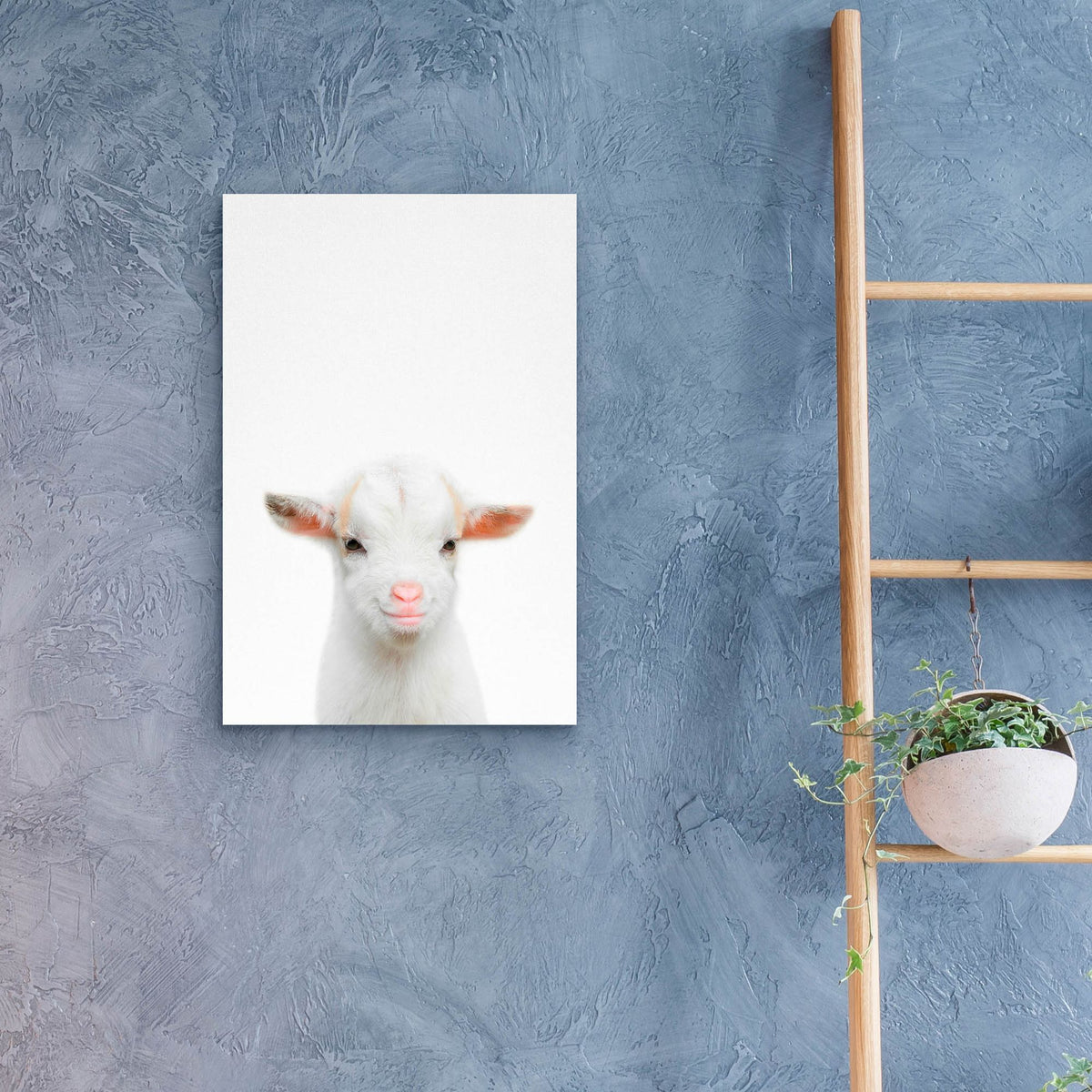 Epic Art 'Baby Goat' by Tai Prints, Acrylic Glass Wall Art,16x24