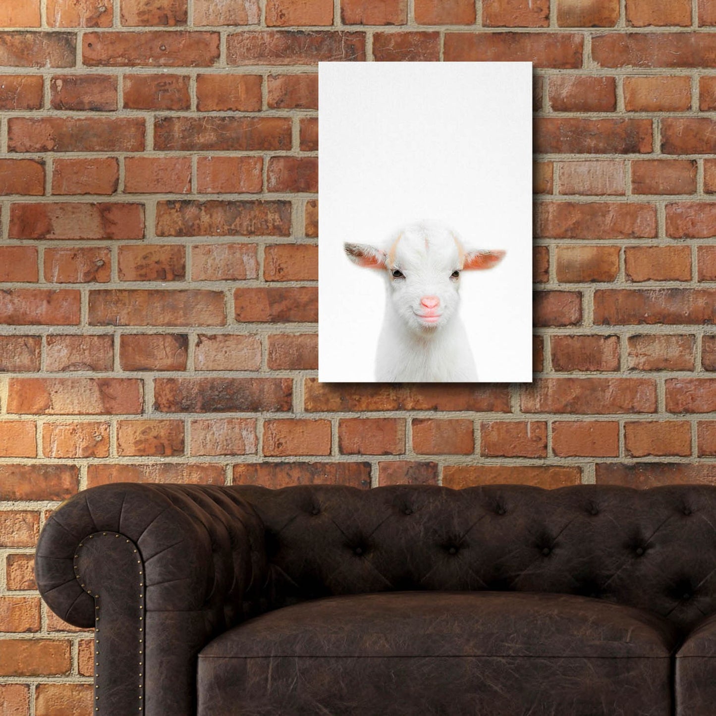 Epic Art 'Baby Goat' by Tai Prints, Acrylic Glass Wall Art,16x24