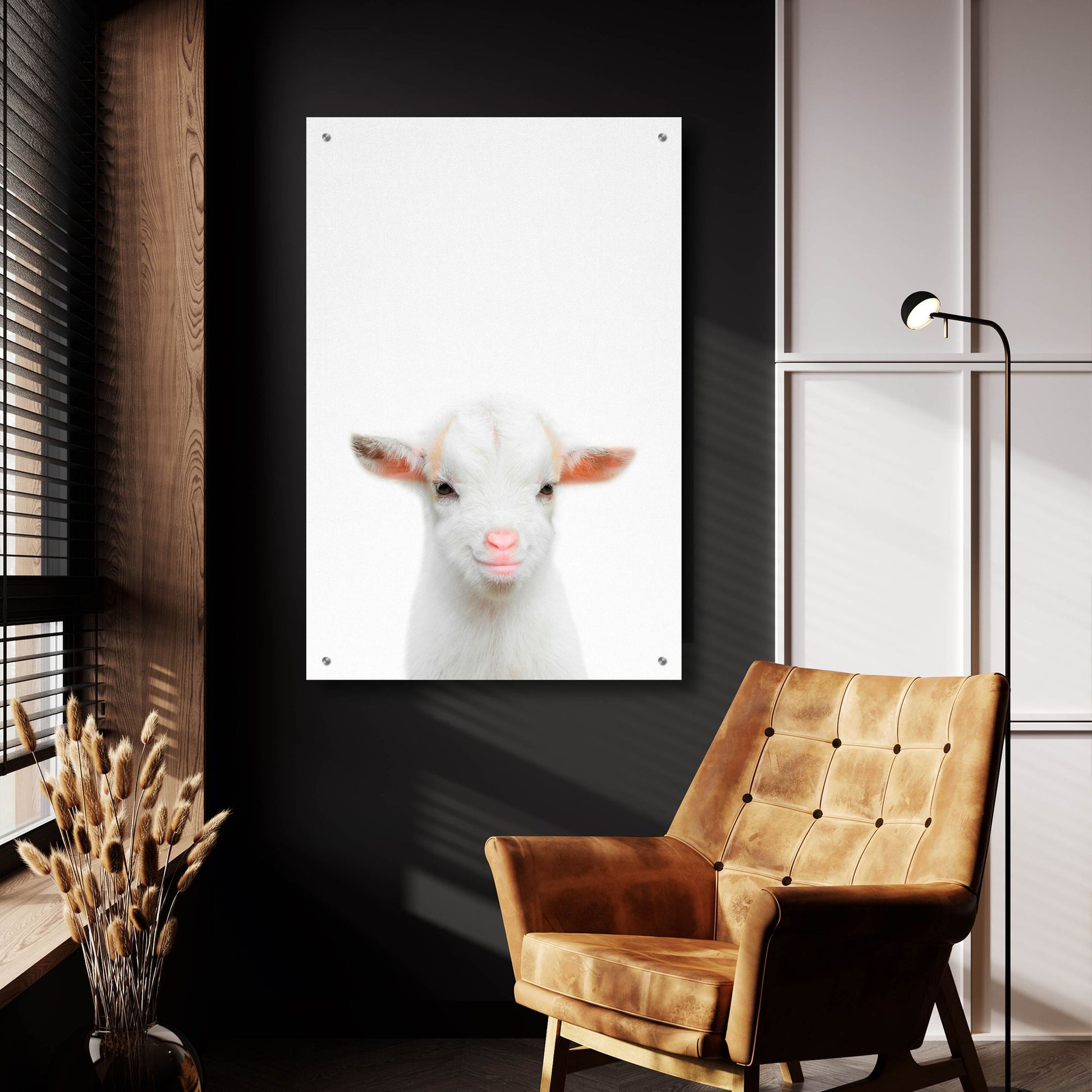 Epic Art 'Baby Goat' by Tai Prints, Acrylic Glass Wall Art,24x36