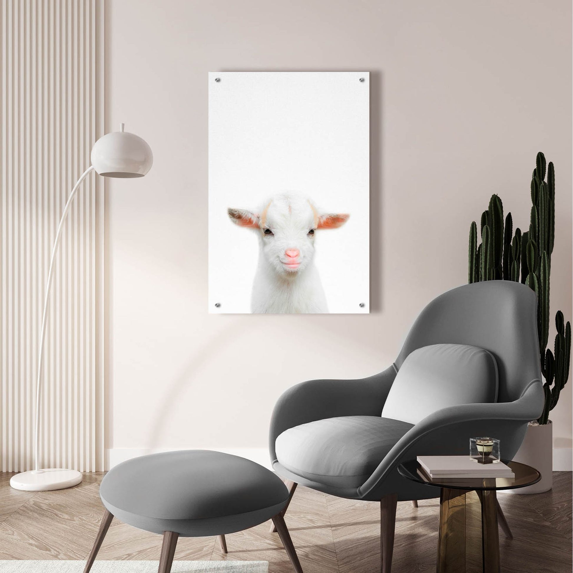 Epic Art 'Baby Goat' by Tai Prints, Acrylic Glass Wall Art,24x36