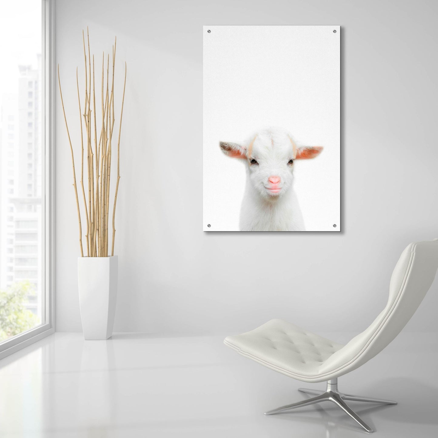 Epic Art 'Baby Goat' by Tai Prints, Acrylic Glass Wall Art,24x36