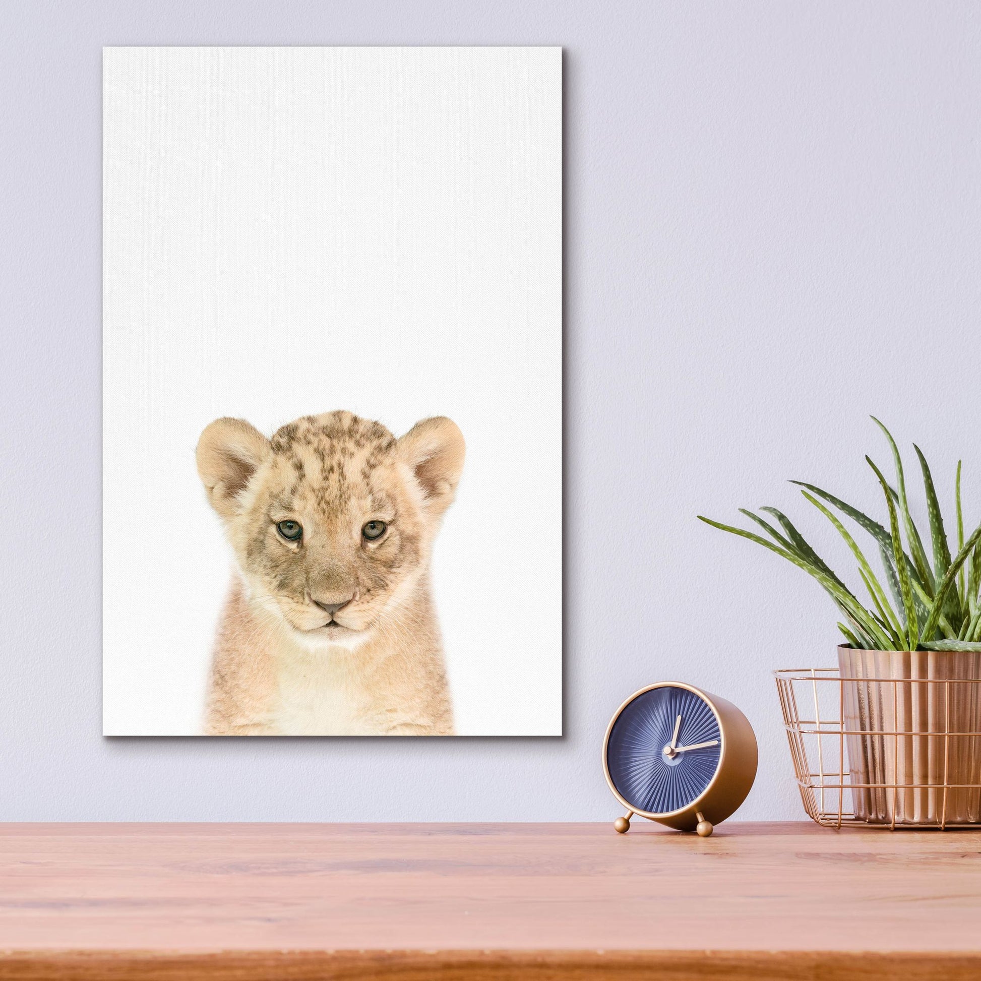 Epic Art 'Baby Lion' by Tai Prints, Acrylic Glass Wall Art,12x16