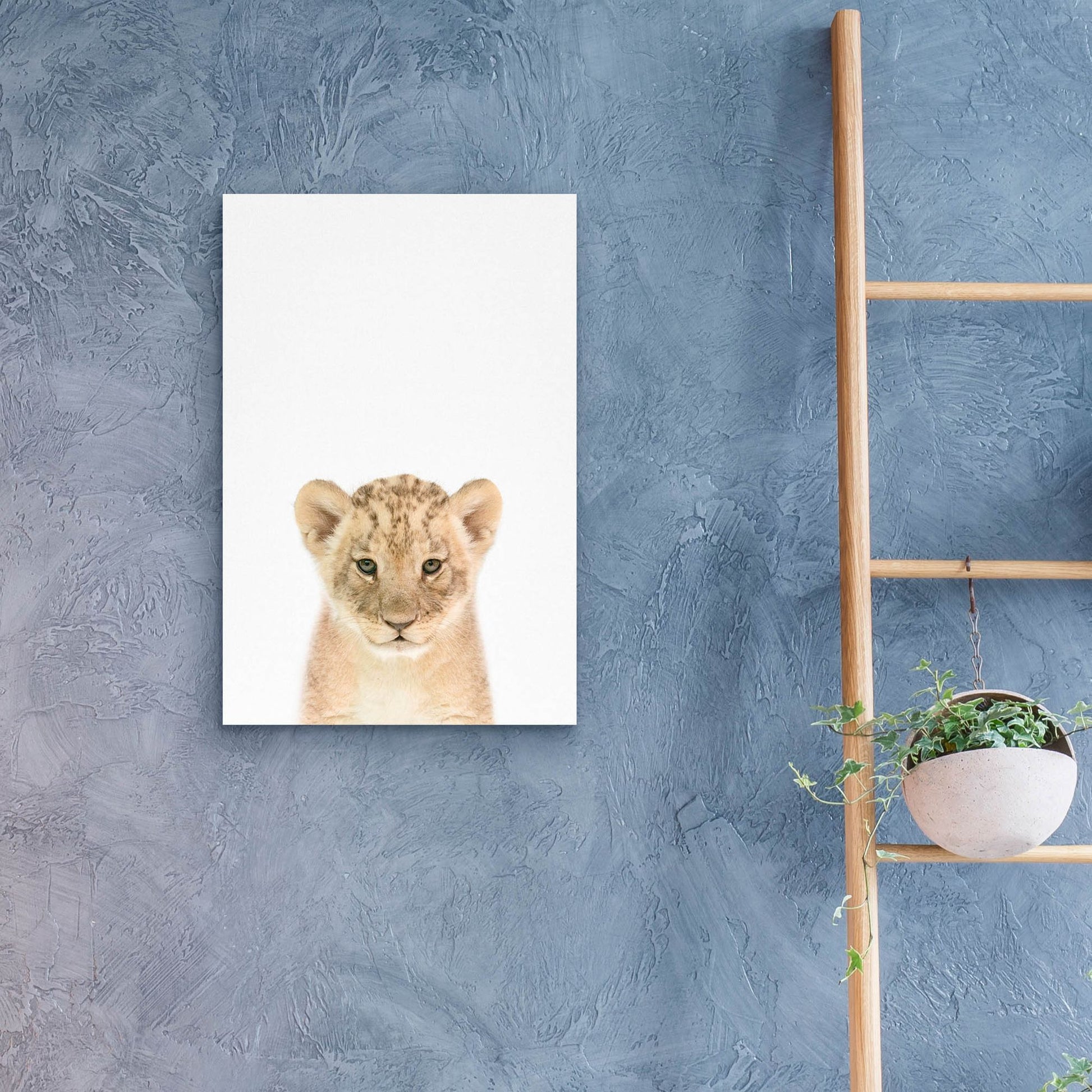 Epic Art 'Baby Lion' by Tai Prints, Acrylic Glass Wall Art,16x24