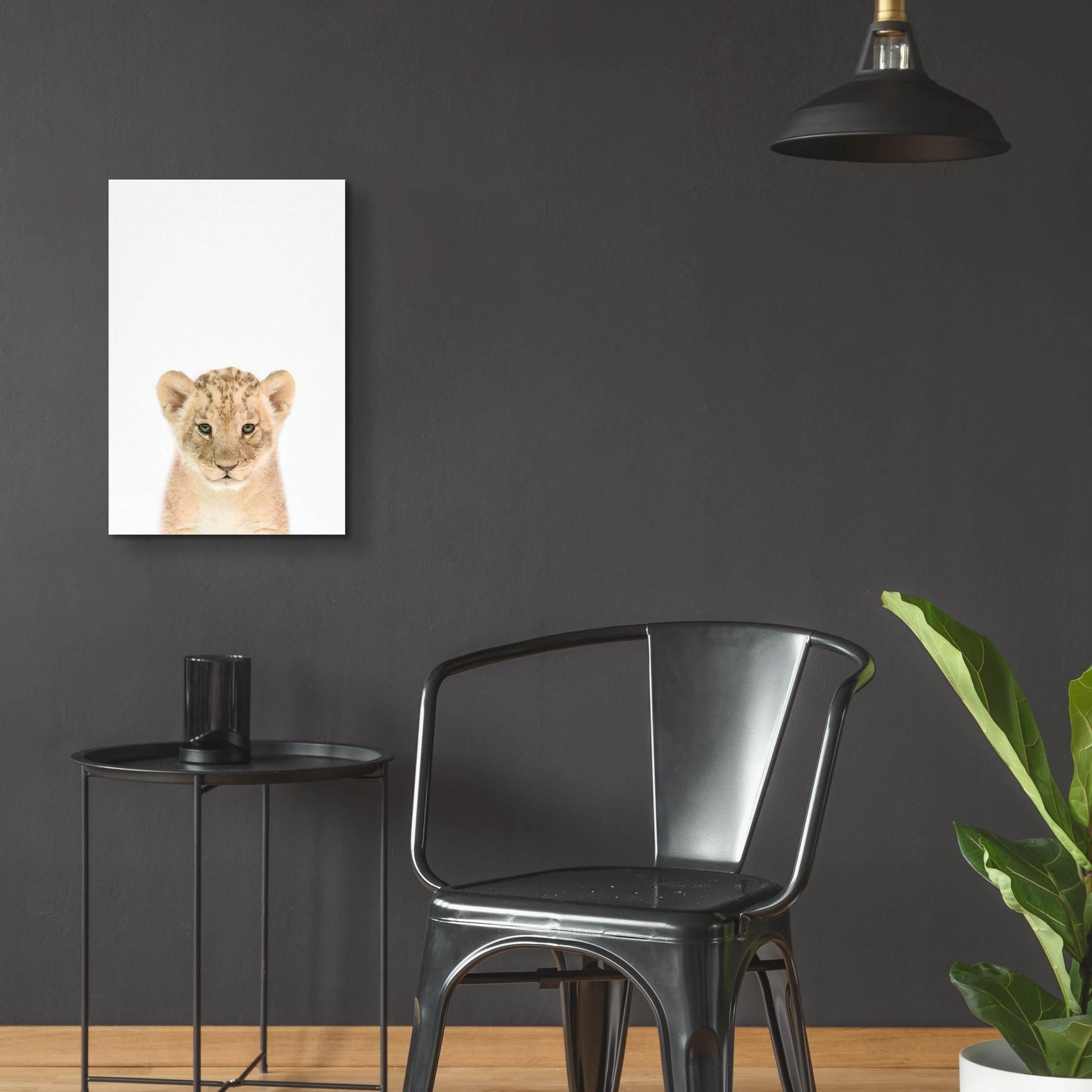 Epic Art 'Baby Lion' by Tai Prints, Acrylic Glass Wall Art,16x24