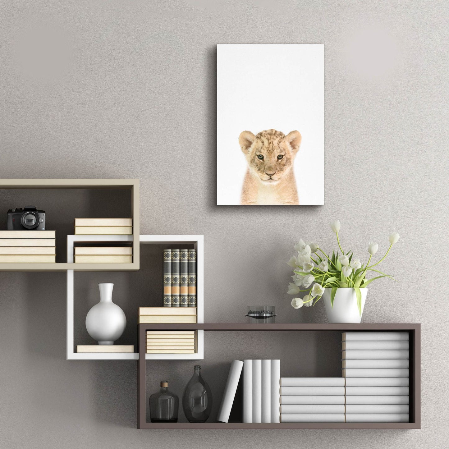 Epic Art 'Baby Lion' by Tai Prints, Acrylic Glass Wall Art,16x24