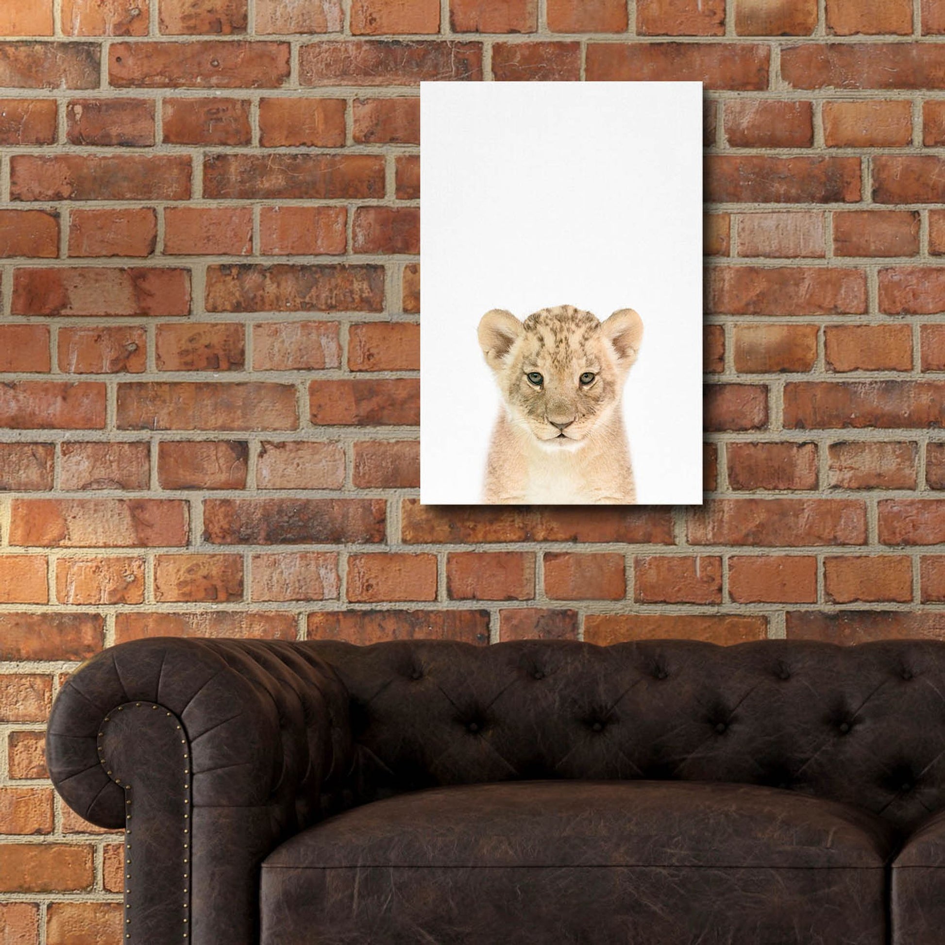 Epic Art 'Baby Lion' by Tai Prints, Acrylic Glass Wall Art,16x24