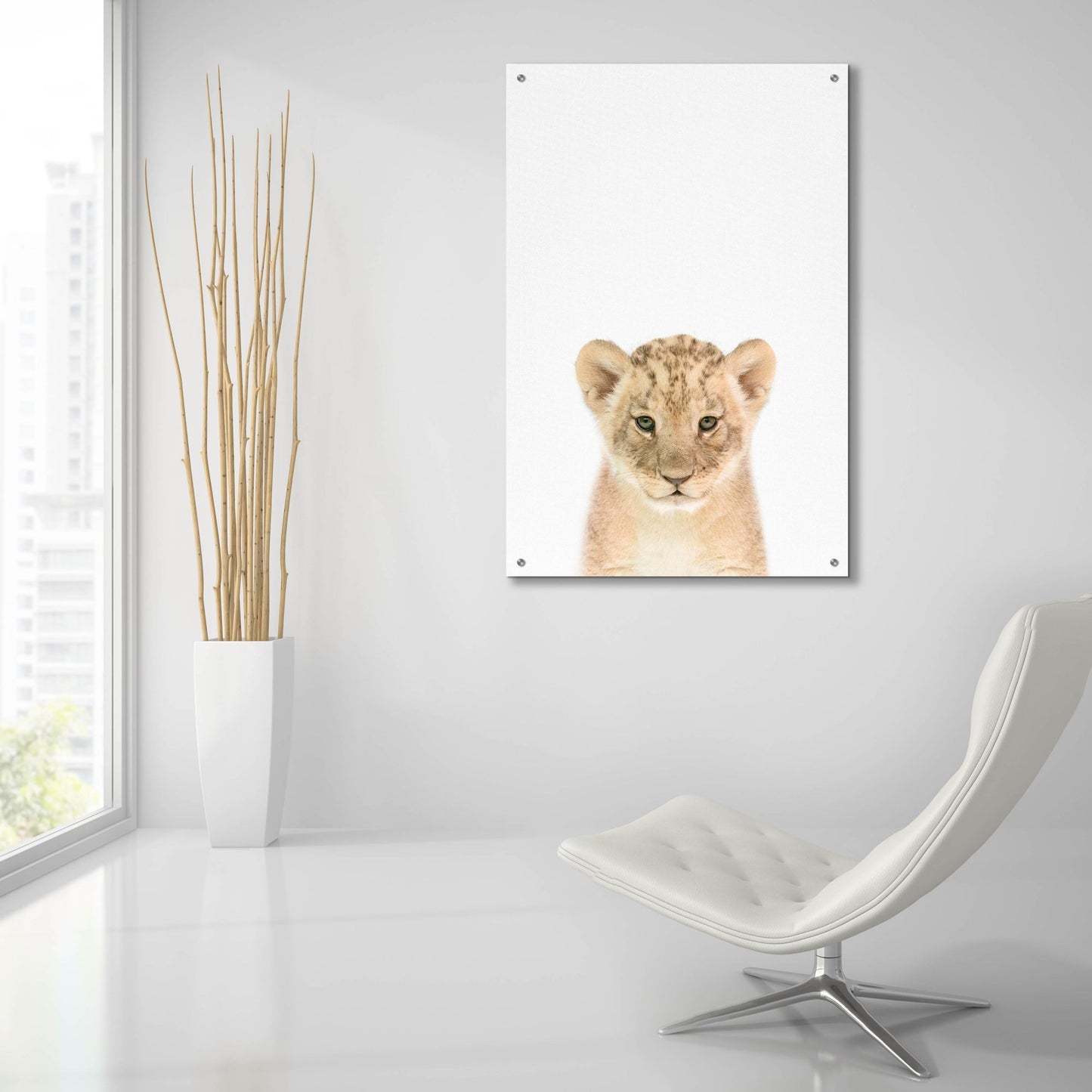 Epic Art 'Baby Lion' by Tai Prints, Acrylic Glass Wall Art,24x36