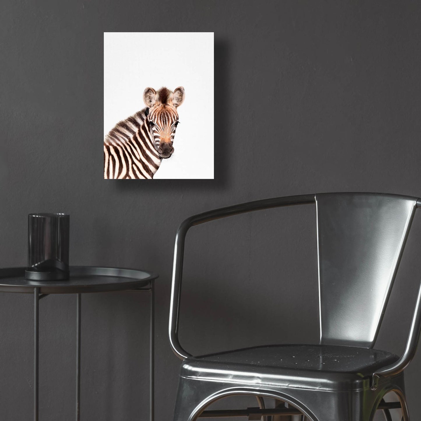 Epic Art 'Baby Zebra' by Tai Prints, Acrylic Glass Wall Art,12x16