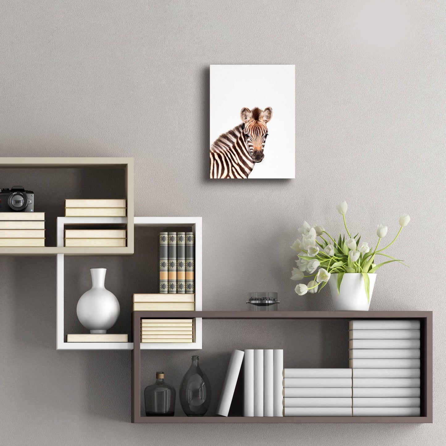 Epic Art 'Baby Zebra' by Tai Prints, Acrylic Glass Wall Art,12x16