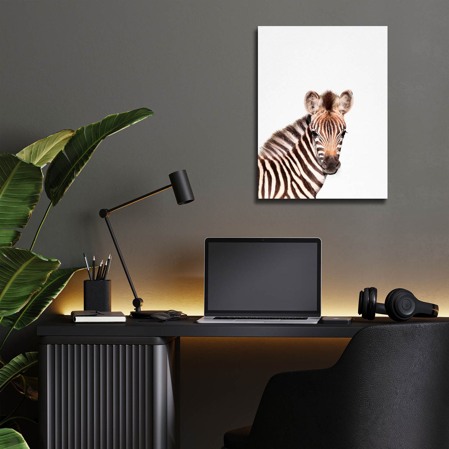 Epic Art 'Baby Zebra' by Tai Prints, Acrylic Glass Wall Art,12x16