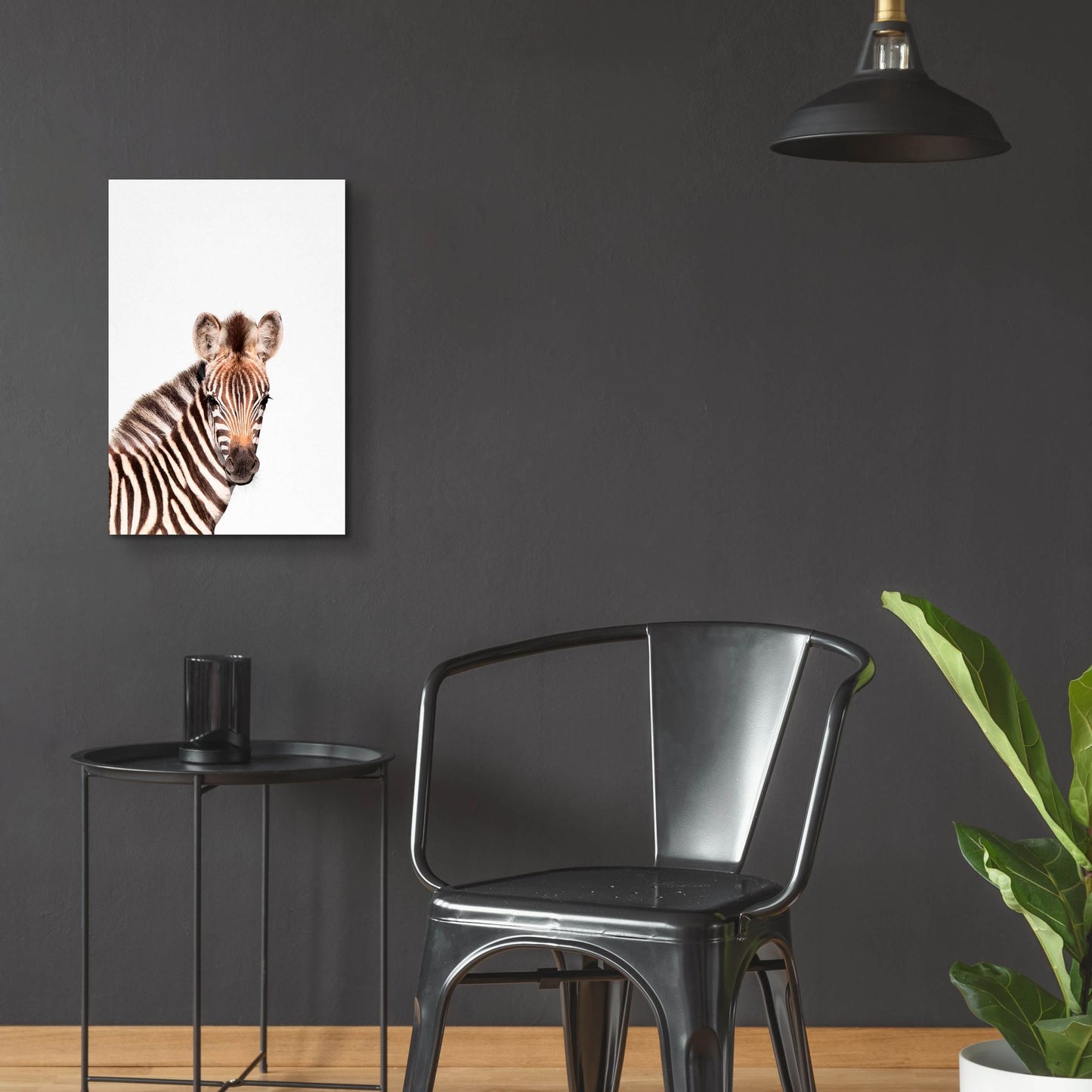 Epic Art 'Baby Zebra' by Tai Prints, Acrylic Glass Wall Art,16x24