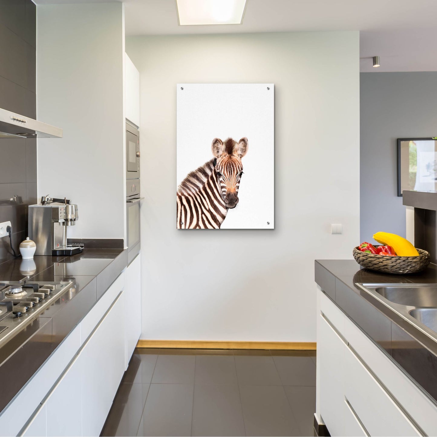 Epic Art 'Baby Zebra' by Tai Prints, Acrylic Glass Wall Art,24x36